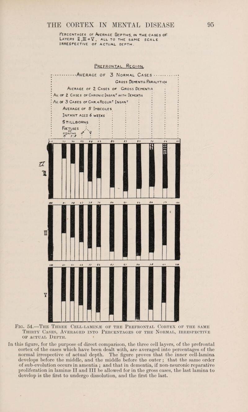 Percentages or Average Depths, in the cases of' Layers all to the same scale IRRESPECTIVE OF ACTUAL DEPTH. Prefrontal Region. 5T 1 .Averace of 3 Normal Cases. Gross Dementia Paralytica Average of 2 Cases or Gross Dementia Av. of 2 Cases of Chronic Insan* with Dementia Av. of 3 Cases ofChr.<RecurI Insan* Averace of S Imbeciles Infant aced 6 weeks Stillborns Foetuses of v HpNTHS 7-6 Fig. 54.—The Three Cell-laminje op the Prefrontal Cortex of the same Thirty Cases, Averaged into Percentages of the Normal, irrespective of actual Depth. » ln this figure, for the purpose of direct comparison, the three cell layers, of the prefrontal cortex of the cases which have been dealt with, are averaged into percentages of the normal irrespective of actual depth. The figure proves that the inner cell-lamina develops before the middle, and the middle before the outer ; that the same order of sub-evolution occurs in amentia ; and that in dementia, if non-neuronic reparative proliferation in laminae II and III be allowed for in the gross cases, the last lamina to develop is the first to undergo dissolution, and the first the last.