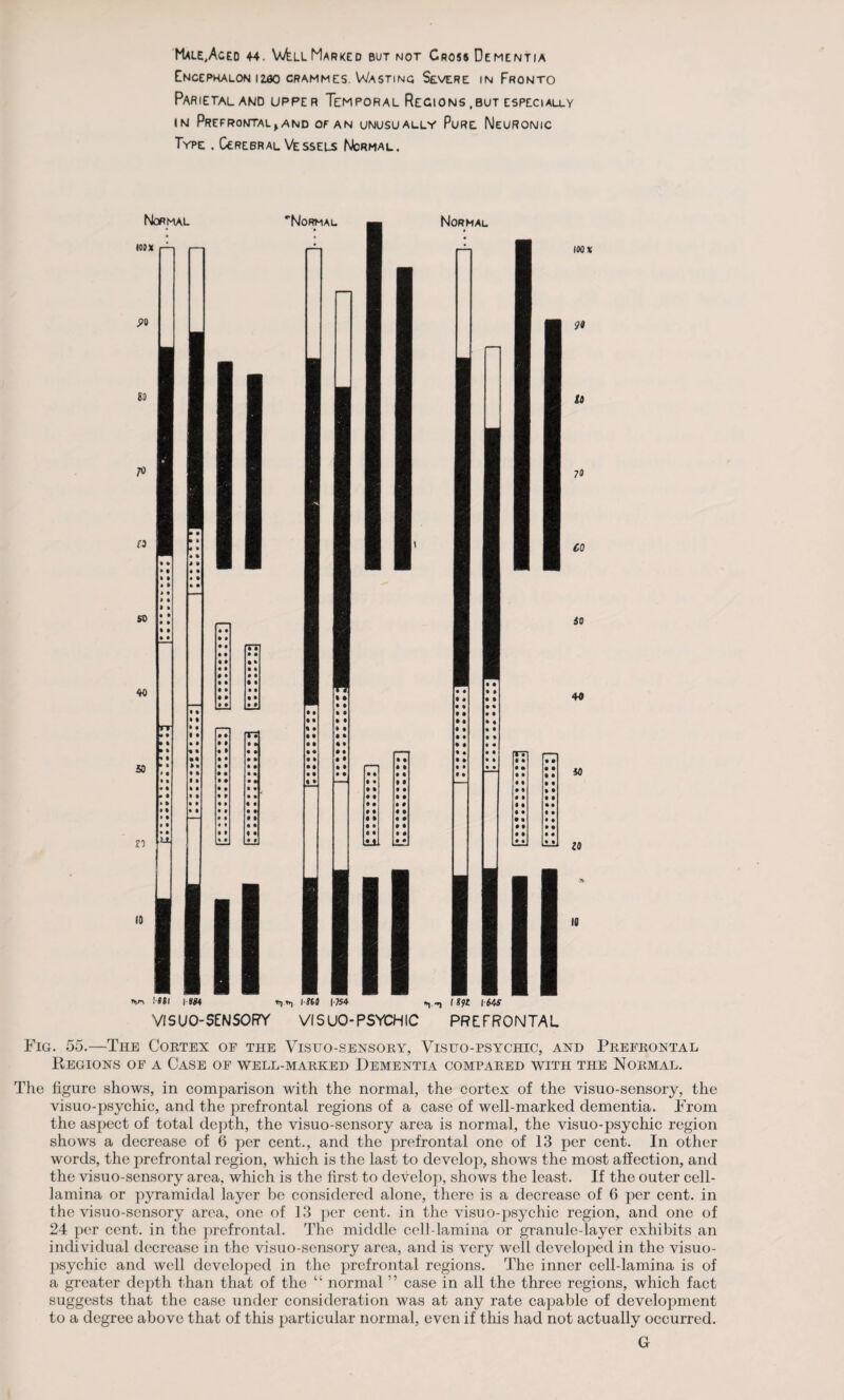 Encephalon ijujo crammes. Wasting Severe in Fronto Parietal and upper Temporal Regions ,but especially in Prefrontal>and of an unusually Pure Neuronic Type . Cerebral Vessels Normal. !*8l IW ISH |W4 *,,, lift I64S VISUO-SENSORY VISUO-PSYCHIC PREFRONTAL Fig. 55.—The Cortex of the Visuo-sensory, Visuo-psychic, and Prefrontal Regions of a Case of well-marked Dementia compared with the Normal. The figure shows, in comparison with the normal, the cortex of the visuo-sensory, the visuo-psychic, and the prefrontal regions of a case of well-marked dementia. From the aspect of total depth, the visuo-sensory area is normal, the visuo-psychic region shows a decrease of 6 per cent., and the prefrontal one of 13 per cent. In other words, the prefrontal region, which is the last to develop, shows the most affection, and the visuo-sensory area, which is the first to develop, shows the least. If the outer cell- lamina or pyramidal layer be considered alone, there is a decrease of 6 per cent, in the visuo-sensory area, one of 13 per cent, in the visuo-psychic region, and one of 24 per cent, in the prefrontal. The middle cell-lamina or granule-layer exhibits an individual decrease in the visuo-sensory area, and is very well developed in the visuo- psychic and well developed in the prefrontal regions. The inner cell-lamina is of a greater depth than that of the “ normal ” case in all the three regions, which fact suggests that the case under consideration was at any rate capable of development to a degree above that of this particular normal, even if this had not actually occurred. G