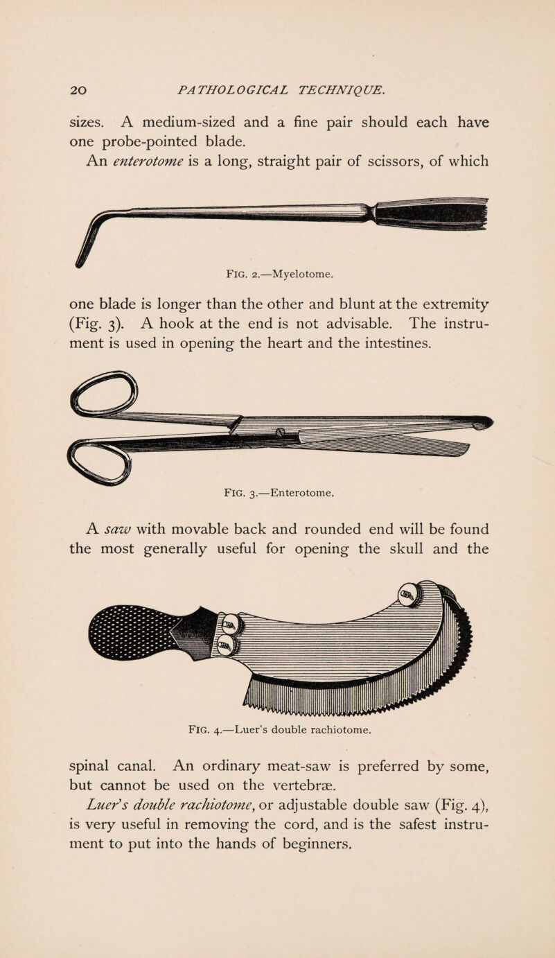 sizes. A medium-sized and a fine pair should each have one probe-pointed blade. An enterotome is a long, straight pair of scissors, of which Fig. 2.—Myelotome. one blade is longer than the other and blunt at the extremity (Fig. 3). A hook at the end is not advisable. The instru¬ ment is used in opening the heart and the intestines. Fig. 3.—Enterotome. A saw with movable back and rounded end will be found the most generally useful for opening the skull and the spinal canal. An ordinary meat-saw is preferred by some, but cannot be used on the vertebrae. Luer's double rachiotome, or adjustable double saw (Fig. 4), is very useful in removing the cord, and is the safest instru¬ ment to put into the hands of beginners.