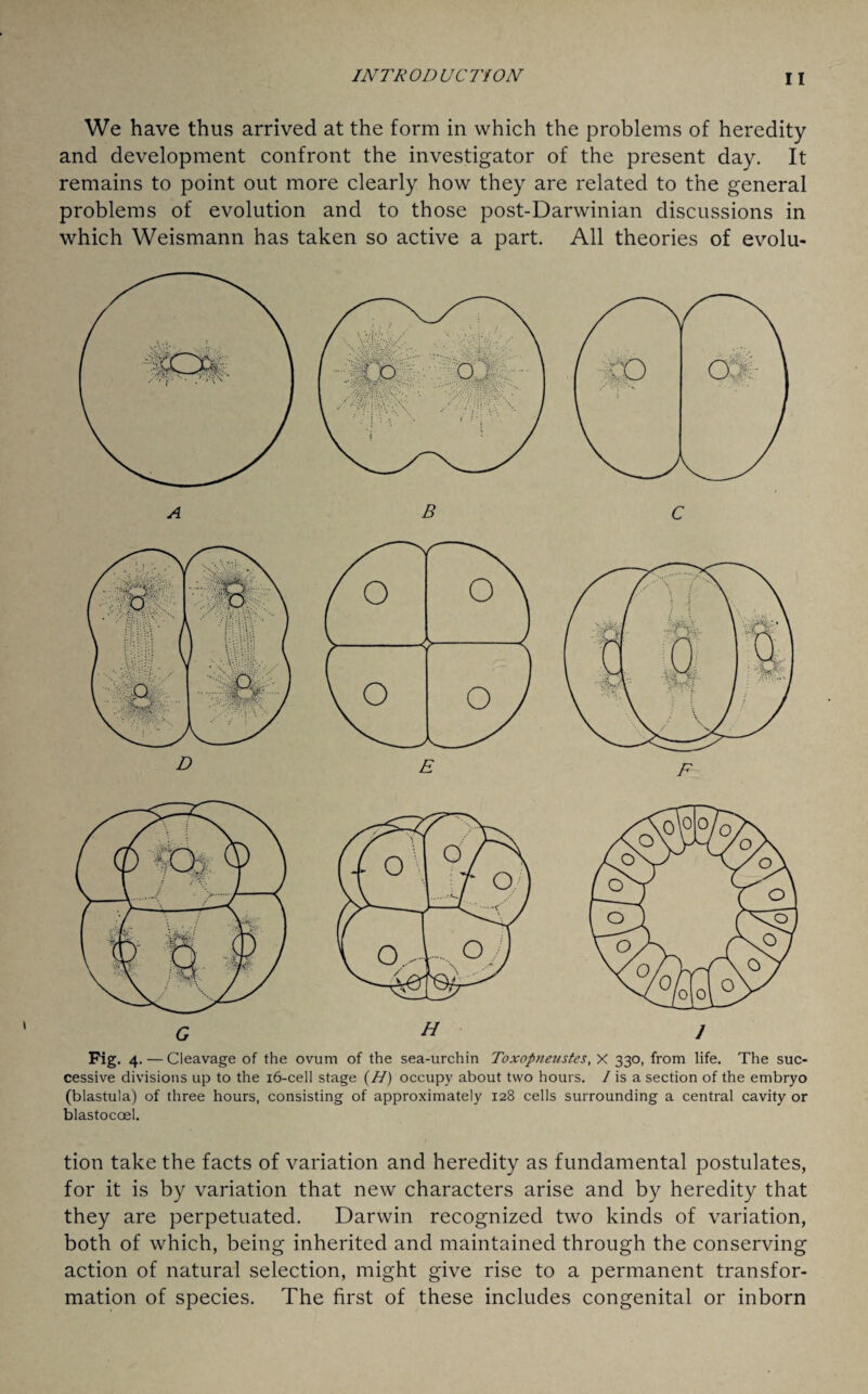 We have thus arrived at the form in which the problems of heredity and development confront the investigator of the present day. It remains to point out more clearly how they are related to the general problems of evolution and to those post-Darwinian discussions in which Weismann has taken so active a part. All theories of evolu- A B C D G Fig. 4. — Cleavage of the ovum of the sea-urchin Toxopneustes, X 330, from life. The suc¬ cessive divisions up to the 16-cell stage (H) occupy about two hours. / is a section of the embryo (blastula) of three hours, consisting of approximately 128 cells surrounding a central cavity or blastocoel. tion take the facts of variation and heredity as fundamental postulates, for it is by variation that new characters arise and by heredity that they are perpetuated. Darwin recognized two kinds of variation, both of which, being inherited and maintained through the conserving action of natural selection, might give rise to a permanent transfor¬ mation of species. The first of these includes congenital or inborn