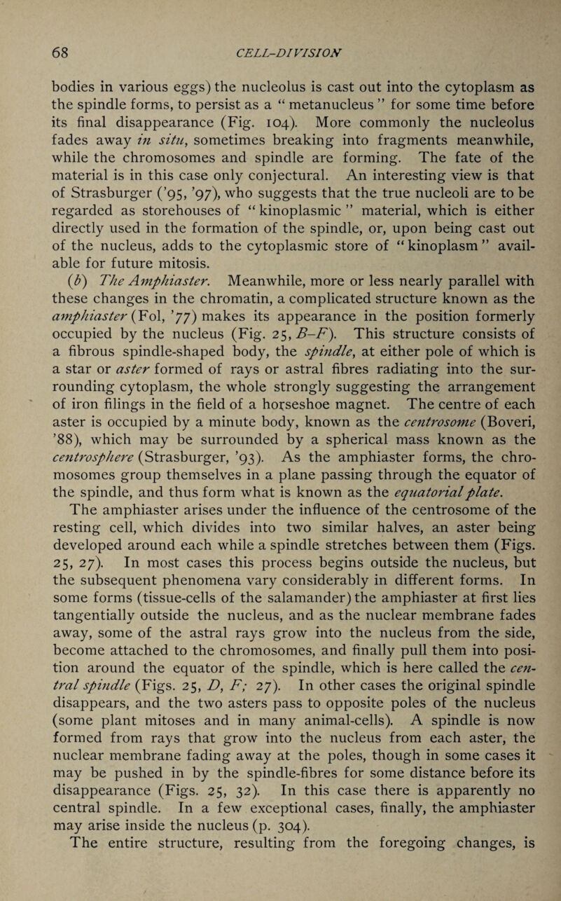 bodies in various eggs) the nucleolus is cast out into the cytoplasm as the spindle forms, to persist as a “ metanucleus ” for some time before its final disappearance (Fig. 104). More commonly the nucleolus fades away in situ, sometimes breaking into fragments meanwhile, while the chromosomes and spindle are forming. The fate of the material is in this case only conjectural. An interesting view is that of Strasburger (’95, ’97), who suggests that the true nucleoli are to be regarded as storehouses of “ kinoplasmic ” material, which is either directly used in the formation of the spindle, or, upon being cast out of the nucleus, adds to the cytoplasmic store of “ kinoplasm ” avail¬ able for future mitosis. (1b) The Ampliiaster. Meanwhile, more or less nearly parallel with these changes in the chromatin, a complicated structure known as the amphiaster {Fol, ’77) makes its appearance in the position formerly occupied by the nucleus (Fig. 25, B-F). This structure consists of a fibrous spindle-shaped body, the spindle, at either pole of which is a star or aster formed of rays or astral fibres radiating into the sur¬ rounding cytoplasm, the whole strongly suggesting the arrangement of iron filings in the field of a horseshoe magnet. The centre of each aster is occupied by a minute body, known as the centrosome (Boveri, ’88), which may be surrounded by a spherical mass known as the centrosphere (Strasburger, ’93). As the amphiaster forms, the chro¬ mosomes group themselves in a plane passing through the equator of the spindle, and thus form what is known as the equatorial plate. The amphiaster arises under the influence of the centrosome of the resting cell, which divides into two similar halves, an aster being developed around each while a spindle stretches between them (Figs. 25, 27). In most cases this process begins outside the nucleus, but the subsequent phenomena vary considerably in different forms. In some forms (tissue-cells of the salamander) the amphiaster at first lies tangentially outside the nucleus, and as the nuclear membrane fades away, some of the astral rays grow into the nucleus from the side, become attached to the chromosomes, and finally pull them into posi¬ tion around the equator of the spindle, which is here called the cen¬ tral spindle (Figs. 25, D, F; 27). In other cases the original spindle disappears, and the two asters pass to opposite poles of the nucleus (some plant mitoses and in many animal-cells). A spindle is now formed from rays that grow into the nucleus from each aster, the nuclear membrane fading away at the poles, though in some cases it may be pushed in by the spindle-fibres for some distance before its disappearance (Figs. 25, 32). In this case there is apparently no central spindle. In a few exceptional cases, finally, the amphiaster may arise inside the nucleus (p. 304). The entire structure, resulting from the foregoing changes, is