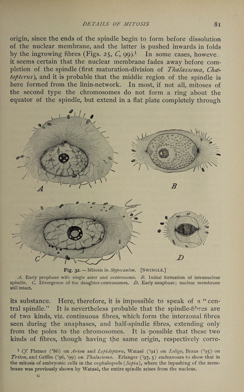 origin, since the ends of the spindle begin to form before dissolution of the nuclear membrane, and the latter is pushed inwards in folds by the ingrowing fibres (Figs. 25, C, 99).1 In some cases, howeve:, it seems certain that the nuclear membrane fades away before com¬ pletion of the spindle (first maturation-division of Thalassema, Chce- topterus), and it is probable that the middle region of the spindle is here formed from the linin-network. In most, if not all, mitoses of the second type the chromosomes do not form a ring about the equator of the spindle, but extend in a flat plate completely through Fig. 32.— Mitosis in Stypocaulon. [Swingle.] A. Early prophase with single aster and centrosome. B. Initial formation of intranuclear spindle. C. Divergence of the daughter-centrosomes. D. Early anaphase; nuclear membrane still intact. its substance. Here, therefore, it is impossible to speak of a “ cen¬ tral spindle.” It is nevertheless probable that the spindle-fibres are of two kinds, viz. continuous fibres, which form the interzonal fibres seen during the anaphases, and half-spindle fibres, extending only from the poles to the chromosomes. It is possible that these two kinds of fibres, though having the same origin, respectively corre- 1 Cf. Platner (’86) on Avion and Lepidoptera, Watase (’91) on Loligo, Braus (’95) on Triton, and Griffin (’96, ’99) on Thalassema. Erlanger (’97, 5) endeavours to show that in the mitosis of embryonic cells in the cephalopods (Sepia), where the inpushing of the mem¬ brane was previously shown by Watase, the entire spindle arises from the nucleus. G