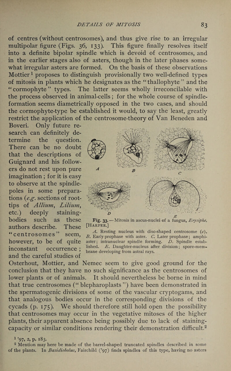 of centres (without centrosomes), and thus give rise to an irregular multipolar figure (Figs. 36, 133). This figure finally resolves itself into a definite bipolar spindle which is devoid of centrosomes, and in the earlier stages also of asters, though in the later phases some¬ what irregular asters are formed. On the basis of these observations Mottier1 proposes to distinguish provisionally two well-defined types of mitosis in plants which he designates as the “thallophyte ” and the “cormophyte” types. The latter seems wholly irreconcilable with the process observed in animal-cells; for the whole course of spindle- formation seems diametrically opposed in the two cases, and should the cormophyte-type be established it would, to say the least, greatly restrict the application of the centrosome-theory of Van Beneden and Boveri. Only future re¬ search can definitely de¬ termine the question. There can be no doubt that the descriptions of Guignard and his follow¬ ers do not rest upon pure imagination ; for it is easy to observe at the spindle- poles in some prepara¬ tions (eg. sections of root- tips of Allium, Lilium, etc.) deeply staining- bodies such as these authors describe. These “centrosomes” seem, however, to be of quite inconstant occurrence ; and the careful studies of Osterhout, Mottier, and Nemec seem to give good ground for the conclusion that they have no such significance as the centrosomes of lower plants or of animals. It should nevertheless be borne in mind that true centrosomes (“ blepharoplasts ”) have been demonstrated in the spermatogenic divisions of some of the vascular cryptogams, and that analogous bodies occur in the corresponding divisions of the cycads (p. 175). We should therefore still hold open the possibility that centrosomes may occur in the vegetative mitoses of the higher plants, their apparent absence being possibly due to lack of staining- capacity or similar conditions rendering their demonstration difficult.2 1 ’97> 2> P- i83* 2 Mention may here be made of the barrel-shaped truncated spindles described in some of the plants. In Basidiobolus, Fairchild (’97) finds spindles of this type, having no asters Fig. 33. — Mitosis in ascus-nuclei of a fungus, Erysiphe. [Harper.] A. Resting nucleus with disc-shaped centrosome (c). B. Early prophase with aster. C. Later prophase; amphi- aster; intranuclear spindle forming. D. Spindle estab¬ lished. E. Daughter-nucleus after division; spore-mem¬ brane developing from astral rays.