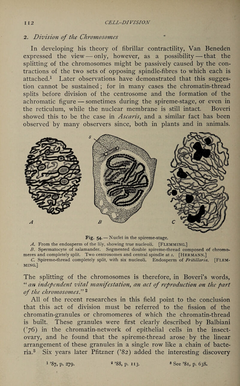 2. Division of the Chromosomes In developing his theory of fibrillar contractility, Van Beneden expressed the view — only, however, as a possibility — that the splitting of the chromosomes might be passively caused by the con¬ tractions of the two sets of opposing spindle-fibres to which each is attached.1 Later observations have demonstrated that this sugges¬ tion cannot be sustained; for in many cases the chromatin-thread splits before division of the centrosome and the formation of the achromatic figure — sometimes during the spireme-stage, or even in the reticulum, while the nuclear membrane is still intact. Boveri showed this to be the case in Ascaris, and a similar fact has been observed by many observers since, both in plants and in animals. Fig- 54- — Nuclei in the spireme-stage. A. From the endosperm of the lily, showing true nucleoli. [FLEMMING.] B. Spermatocyte of salamander. Segmented double spireme-thread composed of chromo- meres and completely split. Two centrosomes and central spindle at s. [Hermann.] C. Spireme-thread completely split, with six nucleoli. Endosperm of Fritillaria. [Flem¬ ming.] The splitting of the chromosomes is therefore, in Boveri’s words, “ an independent vital manifestation, an act of reproduction on the part of the chromosomes2 All of the recent researches in this field point to the conclusion that this act of division must be referred to the fission of the chromatin-granules or chromomeres of which the chromatin-thread is built. These granules were first clearly described by Balbiani (’76) in the chromatin-network of epithelial cells in the insect- ovary, and he found that the spireme-thread arose by the linear arrangement of these granules in a single row like a chain of bacte¬ ria.3 Six years later Pfitzner (’82) added the interesting discovery 1 ’87, p. 279. 2 ’88, p. 113. 8 See ’8i, p. 638.