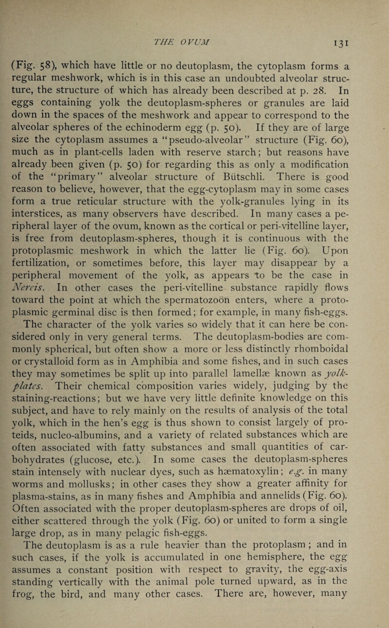 (Fig. 58), which have little or no deutoplasm, the cytoplasm forms a regular meshwork, which is in this case an undoubted alveolar struc¬ ture, the structure of which has already been described at p. 28. In eggs containing yolk the deutoplasm-spheres or granules are laid down in the spaces of the meshwork and appear to correspond to the alveolar spheres of the echinoderm egg (p. 50). If they are of large size the cytoplasm assumes a “pseudo-alveolar” structure (Fig. 60), much as in plant-cells laden with reserve starch; but reasons have already been given (p. 50) for regarding this as only a modification of the “primary” alveolar structure of Biitschli. There is good reason to believe, however, that the egg-cytoplasm may in some cases form a true reticular structure with the yolk-granules lying in its interstices, as many observers have described. In many cases a pe¬ ripheral layer of the ovum, known as the cortical or peri-vitelline layer, is free from deutoplasm-spheres, though it is continuous with the protoplasmic meshwork in which the latter lie (Fig. 60). Upon fertilization, or sometimes before, this layer may disappear by a peripheral movement of the yolk, as appears to be the case in ATereis. In other cases the peri-vitelline substance rapidly flows toward the point at which the spermatozoon enters, where a proto¬ plasmic germinal disc is then formed; for example, in many fish-eggs. The character of the yolk varies so widely that it can here be con¬ sidered only in very general terms. The deutoplasm-bodies are com¬ monly spherical, but often show a more or less distinctly rhomboidal or crystalloid form as in Amphibia and some fishes, and in such cases they may sometimes be split up into parallel lamellae known as yolk- platcs. Their chemical composition varies widely, judging by the staining-reactions; but we have very little definite knowledge on this subject, and have to rely mainly on the results of analysis of the total yolk, which in the hen’s egg is thus shown to consist largely of pro- teids, nucleo-albumins, and a variety of related substances which are often associated with fatty substances and small quantities of car¬ bohydrates (glucose, etc.). In some cases the deutoplasm-spheres stain intensely with nuclear dyes, such as haematoxylin; eg. in many worms and mollusks; in other cases they show a greater affinity for plasma-stains, as in many fishes and Amphibia and annelids (Fig. 60). Often associated with the proper deutoplasm-spheres are drops of oil, either scattered through the yolk (Fig. 60) or united to form a single large drop, as in many pelagic fish-eggs. The deutoplasm is as a rule heavier than the protoplasm ; and in such cases, if the yolk is accumulated in one hemisphere, the egg assumes a constant position with respect to gravity, the egg-axis standing vertically with the animal pole turned upward, as in the frog, the bird, and many other cases. There are, however, many