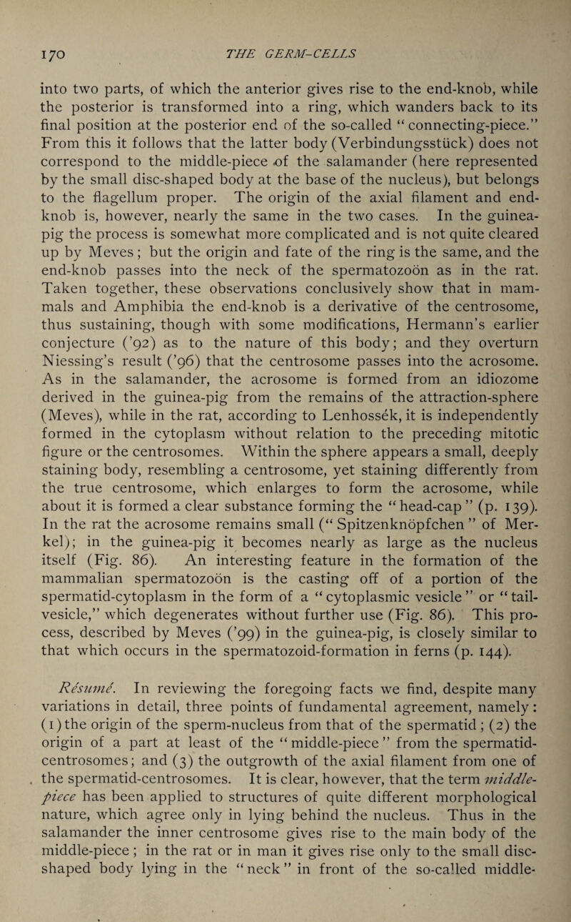into two parts, of which the anterior gives rise to the end-knob, while the posterior is transformed into a ring, which wanders back to its final position at the posterior end of the so-called “connecting-piece.” From this it follows that the latter body (Verbindungsstiick) does not correspond to the middle-piece -of the salamander (here represented by the small disc-shaped body at the base of the nucleus), but belongs to the flagellum proper. The origin of the axial filament and end- knob is, however, nearly the same in the two cases. In the guinea- pig the process is somewhat more complicated and is not quite cleared up by Meves; but the origin and fate of the ring is the same, and the end-knob passes into the neck of the spermatozoon as in the rat. Taken together, these observations conclusively show that in mam¬ mals and Amphibia the end-knob is a derivative of the centrosome, thus sustaining, though with some modifications, Hermann’s earlier conjecture (’92) as to the nature of this body; and they overturn Niessing’s result (’96) that the centrosome passes into the acrosome. As in the salamander, the acrosome is formed from an idiozome derived in the guinea-pig from the remains of the attraction-sphere (Meves), while in the rat, according to Lenhossek, it is independently formed in the cytoplasm without relation to the preceding mitotic figure or the centrosomes. Within the sphere appears a small, deeply staining body, resembling a centrosome, yet staining differently from the true centrosome, which enlarges to form the acrosome, while about it is formed a clear substance forming the “head-cap ” (p. 139). In the rat the acrosome remains small (“ Spitzenknopfchen ” of Mer¬ kel); in the guinea-pig it becomes nearly as large as the nucleus itself (Fig. 86). An interesting feature in the formation of the mammalian spermatozoon is the casting off of a portion of the spermatid-cytoplasm in the form of a “cytoplasmic vesicle” or “tail- vesicle,” which degenerates without further use (Fig. 86). This pro¬ cess, described by Meves (’99) in the guinea-pig, is closely similar to that which occurs in the spermatozoid-formation in ferns (p. 144). Resume. In reviewing the foregoing facts we find, despite many variations in detail, three points of fundamental agreement, namely: (i)the origin of the sperm-nucleus from that of the spermatid ; (2) the origin of a part at least of the “middle-piece” from the spermatid- centrosomes; and (3) the outgrowth of the axial filament from one of . the spermatid-centrosomes. It is clear, however, that the term middle- piece has been applied to structures of quite different morphological nature, which agree only in lying behind the nucleus. Thus in the salamander the inner centrosome gives rise to the main body of the middle-piece; in the rat or in man it gives rise only to the small disc¬ shaped body lying in the “neck” in front of the so-called middle-