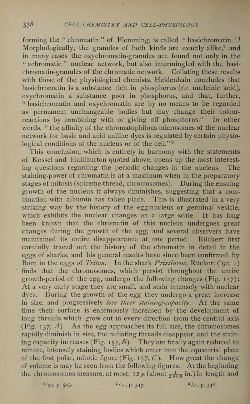 forming the “ chromatin ” of Flemming, is called “ basichromatin.” 3 Morphologically, the granules of both kinds are exactly alike,2 and in many cases the oxychromatin-granules are found not only in the “ achromatic ” nuclear network, but also intermingled with the basi- chromatin-granules of the chromatic network. Collating these results with those of the physiological chemists, Heidenhain concludes that basichromatin is a substance rich in phosphorus (i.e. nucleinic acid), oxychromatin a substance poor in phosphorus, and that, further, “ basichromatin and oxychromatin are by no means to be regarded as permanent unchangeable bodies but may change their colour- reactions by combining with or giving off phosphorus.” In other words, “ the affinity of the chromatophilous microsomes of the nuclear network for basic and acid aniline dyes is regulated by certain physio¬ logical conditions of the nucleus or of the cell.”3 This conclusion, which is entirely in harmony with the statements of Kossel and Halliburton quoted above, opens up the most interest¬ ing questions regarding the periodic changes in the nucleus. The staining-power of chromatin is at a maximum when in the preparatory stages of mitosis (spireme-thread, chromosomes). During the ensuing growth of the nucleus it always diminishes, suggesting that a com¬ bination with albumin has taken place. This is illustrated in a very striking way by the history of the egg-nucleus or germinal vesicle, which exhibits the nuclear changes on a large scale. It has long been known that the chromatin of this nucleus undergoes great changes during the growth of the egg, and several observers have maintained its entire disappearance at . one period. Riickert first carefully traced out the history of the chromatin in detail in the eggs of sharks, and his general results have since been confirmed by Born in the eggs of Triton. In the shark Pristiurus, Riickert (’92, 1) finds that the chromosomes, which persist throughout the entire growth-period of the egg, undergo the following changes (Fig. 157): At a very early stage they are small, and stain intensely with nuclear dyes. During the growth of the egg they undergo a great increase in size, and progressively lose their staining-capacity. At the same time their surface is enormously increased by the development of long threads which grow out in every direction from the central axis (Fig. 157, A). As the egg approaches its full size, the chromosomes rapidly diminish in size, the radiating threads disappear, and the stain¬ ing-capacity increases (Fig. 157, B). They are finally again reduced to minute, intensely staining bodies which enter into the equatorial plate of the first polar, mitotic figure (Fig. 157, C). How great the change of volume is may be seen from the following figures. At the beginning the chromosomes measure, at most, 12 /x (about -2 ^ Q- in.) in length and 1 > 2l.c., p. 547. st.c., p. 548. 94, P- 543-