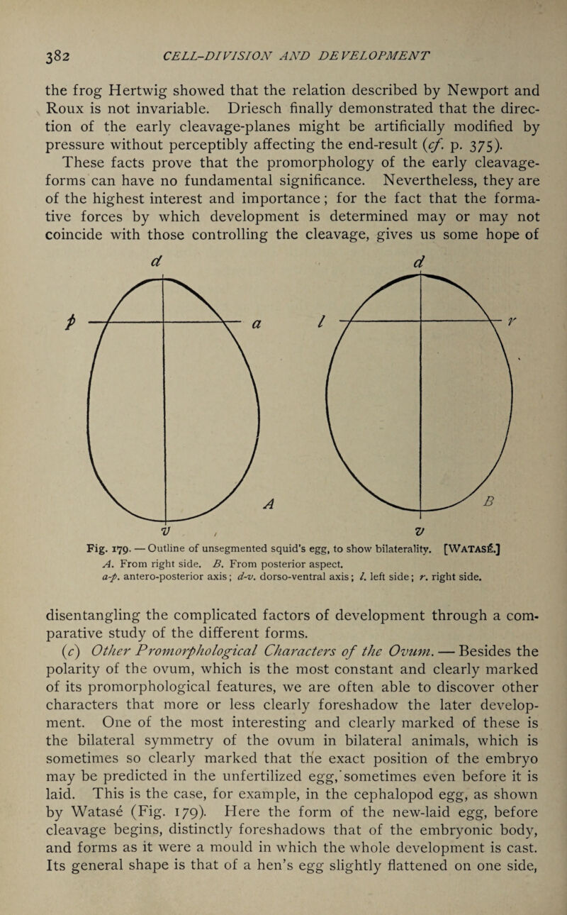 the frog Hertwig showed that the relation described by Newport and Roux is not invariable. Driesch finally demonstrated that the direc¬ tion of the early cleavage-planes might be artificially modified by pressure without perceptibly affecting the end-result (cf. p. 375). These facts prove that the promorphology of the early cleavage- forms can have no fundamental significance. Nevertheless, they are of the highest interest and importance; for the fact that the forma¬ tive forces by which development is determined may or may not coincide with those controlling the cleavage, gives us some hope of a d Fig. 179. — Outline of unsegmented squid’s egg, to show bilaterality. [WATASfi.] A. From right side. B. From posterior aspect. a-p. antero-posterior axis; d-v. dorso-ventral axis; /. left side; r. right side. disentangling the complicated factors of development through a com¬ parative study of the different forms. (c) Other Promorphological Characters of the Ovum. — Besides the polarity of the ovum, which is the most constant and clearly marked of its promorphological features, we are often able to discover other characters that more or less clearly foreshadow the later develop¬ ment. One of the most interesting and clearly marked of these is the bilateral symmetry of the ovum in bilateral animals, which is sometimes so clearly marked that the exact position of the embryo may be predicted in the unfertilized egg,’sometimes even before it is laid. This is the case, for example, in the cephalopod egg, as shown by Watase (Fig. 179). Here the form of the new-laid egg, before cleavage begins, distinctly foreshadows that of the embryonic body, and forms as it were a mould in which the whole development is cast. Its general shape is that of a hen’s egg slightly flattened on one side,