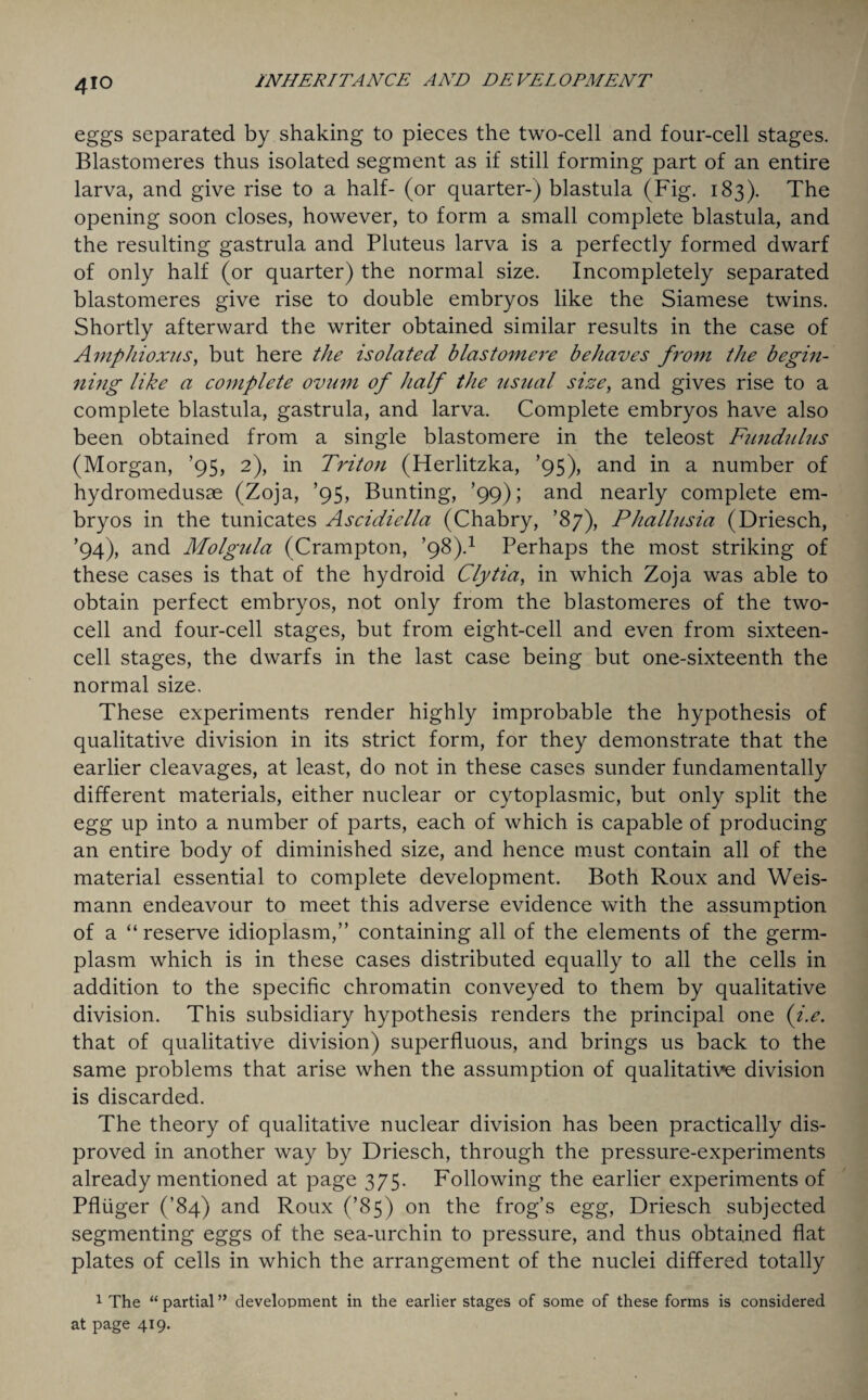 4io eggs separated by shaking to pieces the two-cell and four-cell stages. Blastomeres thus isolated segment as if still forming part of an entire larva, and give rise to a half- (or quarter-) blastula (Fig. 183). The opening soon closes, however, to form a small complete blastula, and the resulting gastrula and Pluteus larva is a perfectly formed dwarf of only half (or quarter) the normal size. Incompletely separated blastomeres give rise to double embryos like the Siamese twins. Shortly afterward the writer obtained similar results in the case of Amphioxus, but here the isolated blastomere behaves from the begin¬ ning like a complete ovum of half the usual size, and gives rise to a complete blastula, gastrula, and larva. Complete embryos have also been obtained from a single blastomere in the teleost Fundulus (Morgan, ’95, 2), in Triton (Herlitzka, ’95), and in a number of hydromedusae (Zoja, ’95, Bunting, ’99); and nearly complete em¬ bryos in the tunicates Ascidiella (Chabry, ’87), Phallusia (Driesch, ’94), and Molgula (Crampton, ’98).1 Perhaps the most striking of these cases is that of the hydroid Clytia, in which Zoja was able to obtain perfect embryos, not only from the blastomeres of the two¬ cell and four-cell stages, but from eight-cell and even from sixteen¬ cell stages, the dwarfs in the last case being but one-sixteenth the normal size. These experiments render highly improbable the hypothesis of qualitative division in its strict form, for they demonstrate that the earlier cleavages, at least, do not in these cases sunder fundamentally different materials, either nuclear or cytoplasmic, but only split the egg up into a number of parts, each of which is capable of producing an entire body of diminished size, and hence must contain all of the material essential to complete development. Both Roux and Weis- mann endeavour to meet this adverse evidence with the assumption of a “ reserve idioplasm,” containing all of the elements of the germ- plasm which is in these cases distributed equally to all the cells in addition to the specific chromatin conveyed to them by qualitative division. This subsidiary hypothesis renders the principal one (i.e. that of qualitative division) superfluous, and brings us back to the same problems that arise when the assumption of qualitative division is discarded. The theory of qualitative nuclear division has been practically dis¬ proved in another way by Driesch, through the pressure-experiments already mentioned at page 375. Following the earlier experiments of Pfluger (’84) and Roux (’85) on the frog’s egg, Driesch subjected segmenting eggs of the sea-urchin to pressure, and thus obtained flat plates of cells in which the arrangement of the nuclei differed totally 1 The “ partial ” development in the earlier stages of some of these forms is considered at page 419.