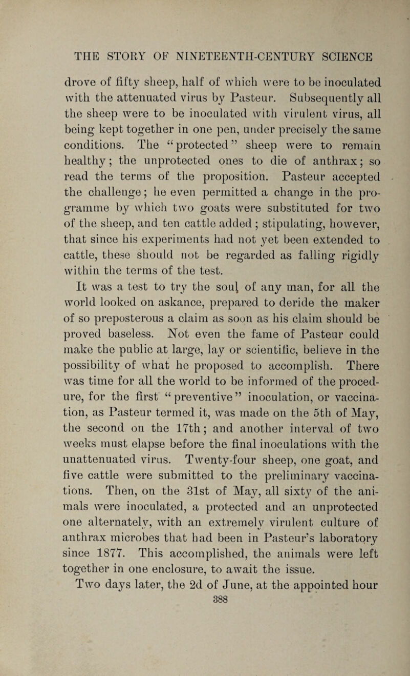 drove of fifty sheep, half of which were to be inoculated with the attenuated virus by Pasteur. Subsequently all the sheep were to be inoculated with virulent virus, all being kept together in one pen, under precisely the same conditions. The “protected” sheep were to remain healthy; the unprotected ones to die of anthrax; so read the terms of the proposition. Pasteur accepted the challenge; he even permitted a change in the pro¬ gramme by which two goats were substituted for two of the sheep, and ten cattle added ; stipulating, however, that since his experiments had not }7et been extended to cattle, these should not be regarded as falling rigidly within the terms of the test. It was a test to try the sou\ of any man, for all the world looked on askance, prepared to deride the maker of so preposterous a claim as soon as his claim should be proved baseless. Hot even the fame of Pasteur could make the public at large, lay or scientific, believe in the possibility of what he proposed to accomplish. There was time for all the world to be informed of the proced¬ ure, for the first “ preventive ” inoculation, or vaccina¬ tion, as Pasteur termed it, was made on the 5th of Majq the second on the 17th; and another interval of two weeks must elapse before the final inoculations with the unattenuated virus. Twenty-four sheep, one goat, and five cattle were submitted to the preliminary vaccina¬ tions. Then, on the 31st of May, all sixt}7 of the ani¬ mals were inoculated, a protected and an unprotected one alternatelv, with an extremelv virulent culture of anthrax microbes that had been in Pasteur’s laboratory since 1877. This accomplished, the animals were left together in one enclosure, to await the issue. Two days later, the 2d of June, at the appointed hour