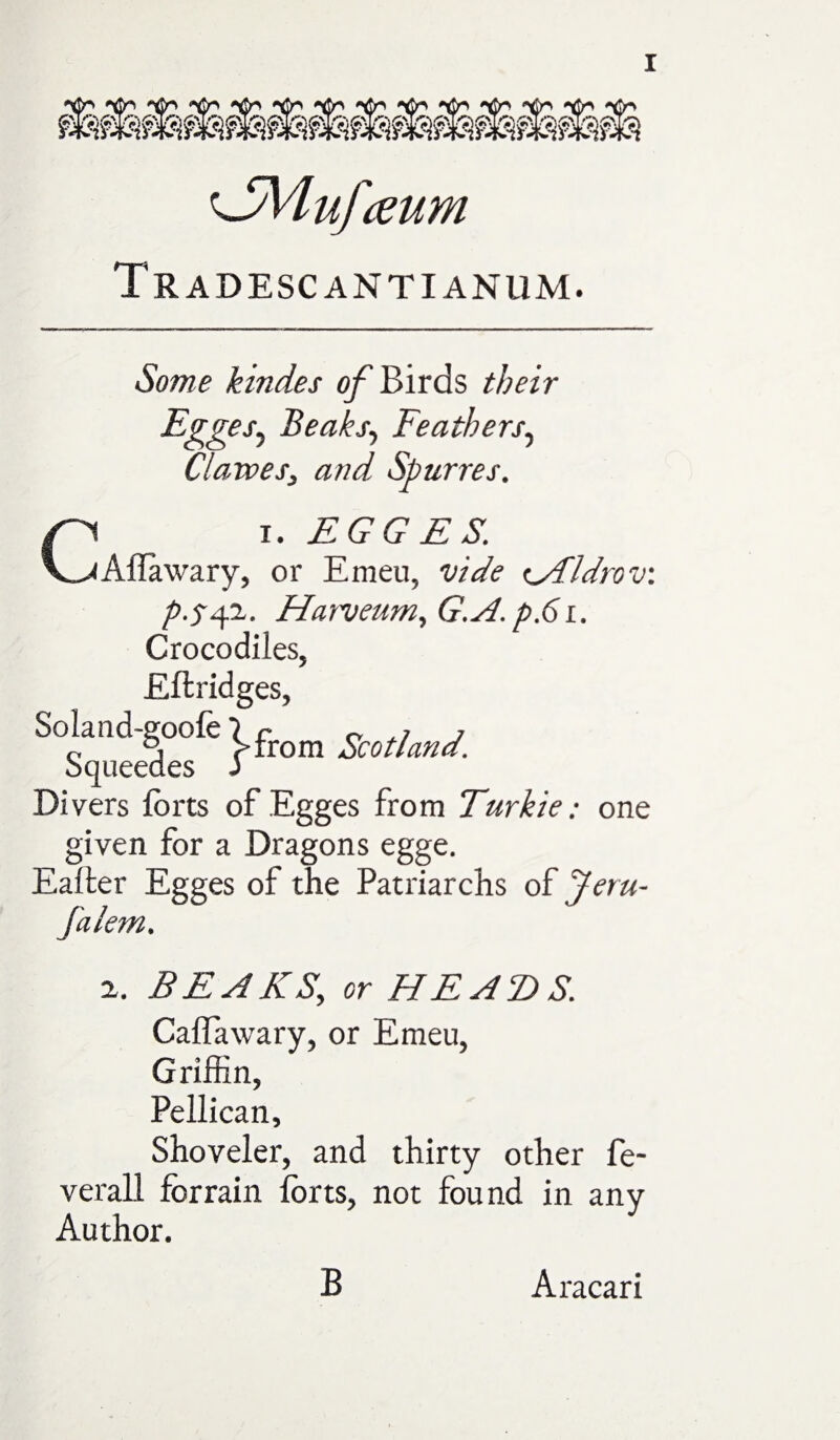 '■JMufmm Tradescantianum. Some kindes of Birds their Eggej-, Beaks, Feathers, Clavoes, and Spurres. i. EGG ES. Aflawary, or Emeu, vide cAldrov.: Harveum,G.A.p.6i. Crocodiles, Eftridges, So' from Scotland. Divers forts of Egges from Turkie: one given for a Dragons egge. Eafter Egges of the Patriarchs of falem. 2. BEAKS; cr HEADS. Caflawary, or Emeu, Griffin, Pellican, Shoveler, and thirty other fe- verall for rain forts, not found in any Author. B Aracari