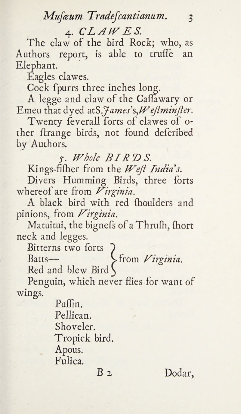 4. CLAW ES. The claw of the bird Rock; who, as iVuthors report, is able to trufle an Elephant. Eagles clawes. Cock fpurrs three inches long. A legge and claw of the Caflawary or Emeu that dyed atSfames'^Weftminfter. Twenty feverall forts of clawes of o- ther flrange birds, not found defcribed by Authors* ?. Whole BIRDS. Kings-fifher from the Weft India's. Divers Humming Birds, three forts whereof are from Virginia. A black bird with red fhoulders and pinions, from Virginia. Matuitui, the bignefs of a Thrufh, fhort neck and legges. Bitterns two forts 1 Batts— \ from Virginia. Red and blew Bird 3 Penguin, which never flies for want of wings. Puffin. Pellican. Shoveler. Tropick bird. Apous. Fulica. Dodar,