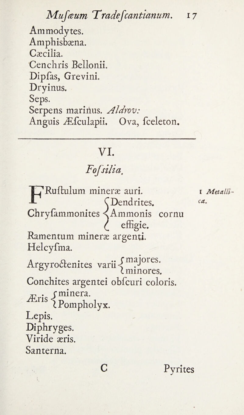 Ammodytes. Cascilia. Cenchris Bellonii. Dipfas, Grevini. Dryinus. Seps. Serpens maririus. Aldrov: Angnis Aifculapii. Ova, fceleton. F^RuRulum minerae auri. C Dendrites. Chryfammonites < Ammonis cornu £ effigie. Ramentum minerae argenti. Helcyfma. Argyrodlenites varii <T mfjores* OJ cminores. Conchites argentei obfcuri coloris. Airis rminera. cPompholyx. Lepis. Diphryges. Viride aeris. Santerna. I Met a lli- cct. c Pyrites