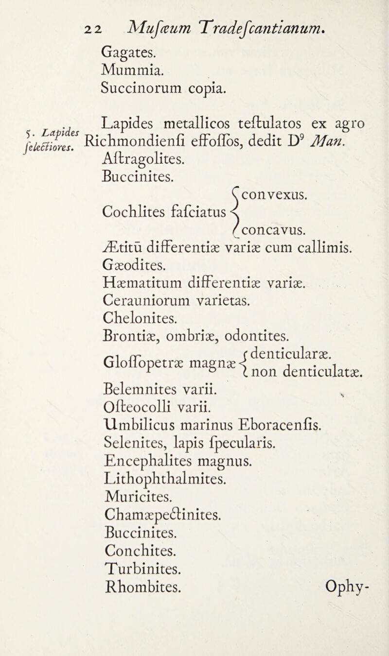 Mummia. Succinorum copia. 5. Lapides jeledtiores. Lapides metallicos teflulatos ex agro Richmondienfi effoffbs, dedit D9 Man. Aftragolites. Buccinites. v convexus. Cochlites fafciatus s /concavus. ^Etitu differentiae variae cum callimis. Gaeodites. Haematitum differentiae variae. Cerauniorum varietas. Chelonites. Brontiae, ombriae, odontites. rr (denticular ae. uloiiopetrae magnaes 1 . 1 r & l non denticulatae. Belemnites varii. Ofteocolli varii. Umbilicus marinus Eboracenfis. Selenites, lapis fpecularis. Encephalites magnus. Lithophthalmites. Muricites. Chamaepedlinites. Buccinites. Conchites. Turbinites. Rhombites. Ophy-