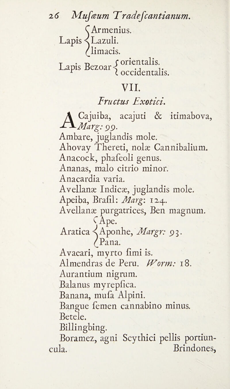 Armenius. Lazuli. limacis. Lapis Bezoar orientalis. occidentaiis. VII. Fmet us Exotici. ACajuiba, acajuti & itimabova, Marg: pp. Ambare, juglandis mole. Ahovay Thereti, noise Cannibalium. Anacock, phafeoli genus. Ananas, malo citrio minor. Anacardia varia. Avellanse Indicse, juglandis mole. Apeiba, Brafil: Marg: 124. Avellanse purgatrices, Ben magnum. CApe. Aratica s Aponhe, Margr: pg. ^Pana. Avacari, myrto fimi is. Almendras de Peru. fVorm: 18. Aurantium nigrum. Balanus myrepfica. Banana, mufa Alpini. Bangue femen cannabino minus. Betele. Billingbing. Boramez, agni Scythici pellis portiun- cula. Brindones,