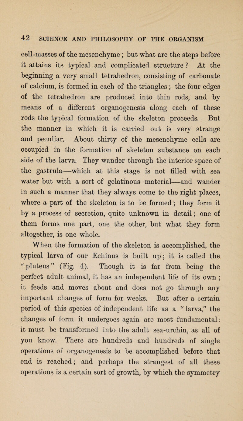 cell-masses of the mesenchyme; but what are the steps before it attains its typical and complicated structure ? At the beginning a very small tetrahedron, consisting of carbonate of calcium, is formed in each of the triangles ; the four edges of the tetrahedron are produced into thin rods, and by means of a different organogenesis along each of these rods the typical formation of the skeleton proceeds. But the manner in which it is carried out is very strange and peculiar. About thirty of the mesenchyme cells are occupied in the formation of skeleton substance on each side of the larva. They wander through the interior space of the gastrula—which at this stage is not filled with sea water but with a sort of gelatinous material—and wander in such a manner that they always come to the right places, where a part of the skeleton is to he formed; they form it by a process of secretion, quite unknown in detail; one of them forms one part, one the other, but what they form altogether, is one whole. When the formation of the skeleton is accomplished, the typical larva of our Echinus is built up; it is called the “ pluteus ” (Fig. 4). Though it is far from being the perfect adult animal, it has an independent life of its own; it feeds and moves about and does not go through any important changes of form for weeks. But after a certain period of this species of independent life as a “ larva,” the changes of form it undergoes again are most fundamental: it must be transformed into the adult sea-urchin, as all of you know. There are hundreds and hundreds of single operations of organogenesis to be accomplished before that end is reached; and perhaps the strangest of all these operations is a certain sort of growth, by which the symmetry