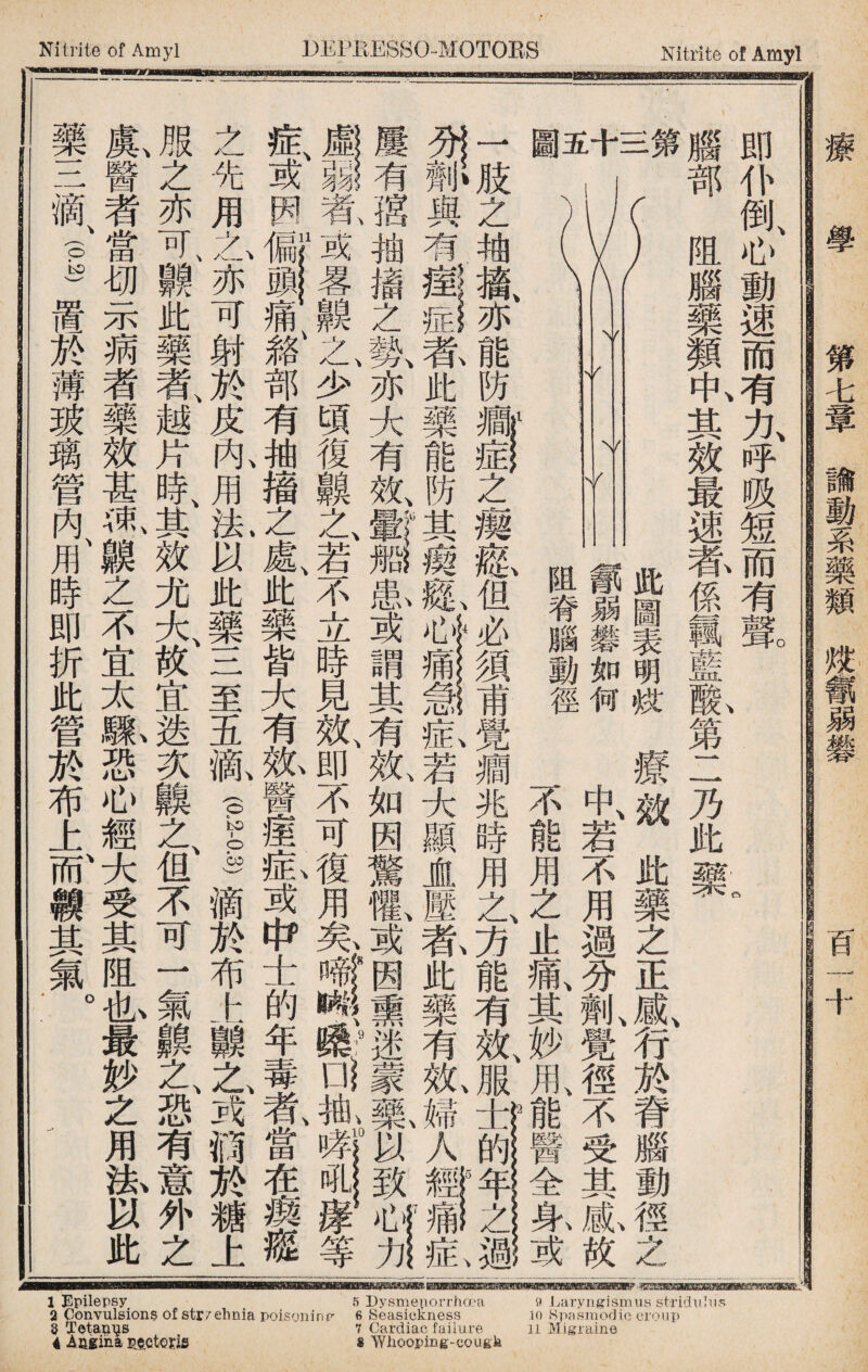 藥 ■ ..牵 _ .丨▲ --^ 滴、 1 置 於 薄 玻 璃 管 內、 用 時 即 折 此 管 於 布 上 而、 鑛 其 M o 虞、服之症、虛I屢 醫之先或弱I有 者亦用，者、谣與之 當可、之、偏f或袖有、袖 切齅亦頭畧掻痙丨擴 示此可痛齅之症J亦 病藥射絡之、勢、者、能 者者、於部少亦此防 藥越皮有頃大藥頫 效片內、_復有能症 甚時、用搐齅效、防之 A束、其溪、之之、fe其瘸 齅效以處、菪d瘈經 Z尤驻s .不患、經、但 不大、g樂立或心卜么 宴g三f 謂痛須 太宜至大見其急甫 驟、迭五芳效、有症、I 恐疼滴、势迎效、若 ^ ift 3簟不如-大 輕客、笔_可因顯 大堪$瘦、復驚虚 受不滴g用懼、壓_一 其可於中矣纟或看、方止過之 阻；：布盂濟因此能痛、分正 4、i次势65卜熏藥有其劑、感 «瞾_ f釀9迷有效、妙覺行 f备、之、震0蒙效、服用、徑於 之銎戎翥、袖t、。藥、婦士〜一 用有滴當哮『以人的 分I 一圖五十三第腦即 劑•肢 ,I部仆 倒、 阻心 腦動 藥速 類而 中、有 其力、 效呼 最政 速短 者、而 係有 賴聲。 薛 酸、 8 jb 此 槩。 阻_此 脊弱圖 腦礬表 勤如明 徑何妷 嫺-… 兆不中、 時能若 用用不 之、之用 療 效 此 藥 法、意於奄吼致經 mm% 痛 之 症、過 不脊 受腦 全其動 身、感、徑 !或故之 ^wmbbim——m—miaMMMdMrwgMniiwKH 平咖itMjgaffMBesMEgmafxtwMWiwiBBMaiEMBggwif .ara‘柳jaaFEmemffiiiw^vsiaiBggsap Epilepsy 5 Dysmeiiorrhcea 9 Laryngismus stridulus Convulsion? of str/ehnia poisoninp- 6 Seasickness 7 Cardiac failure s 'Whooping-cougli I, 2 Convulsions of str/ehnia poisoninp- 3 Tetanus 4 Aagihl pectoris in Spasmodic croup ll Migraine Nitrite of Amyl DEPEESSO^MOTOES Nitrite of Amyl 療 第七章論動系藥類燐傷弱礬 百一十 ■1 - - = l_lll--aBi