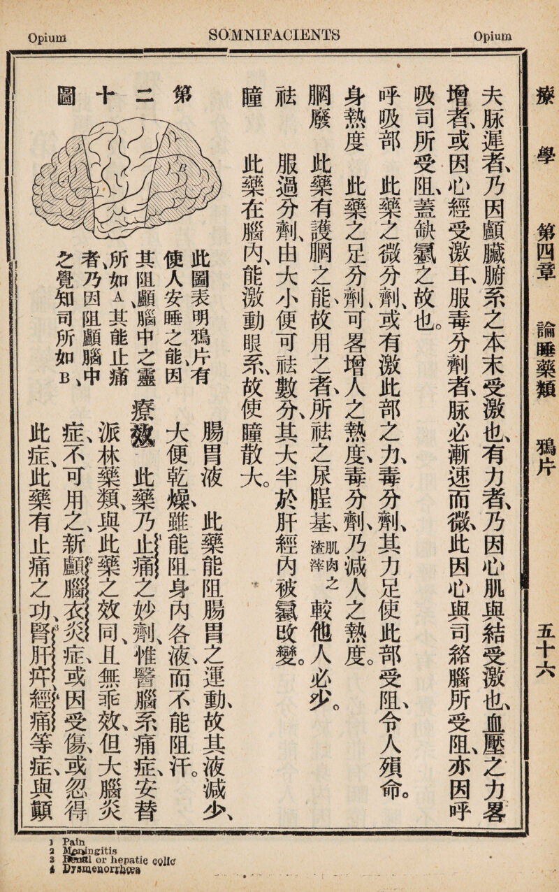 Pain 3 M^rvngitis 3 Benal or hepatie colic i DjmQuonhm 療 學 第四章 諭睡藥類 鴉片 五十六 r/■.'■ * ■ .», * . . . , ■- ' ^ 夫脲遲养乃因顱臟腑系之本末受激也有力氧乃因心肌與結受激也1壓之力.署 增氣或因心經受徼车服毒分_萬脉必漸速而徽此因心與司絡腦所受阻、亦因呼 吸司所受虬蓋缺氯之故I 、 。 ^呼吸部此藥之微分_、或有激此部之九毒分亂其力足使此部受ffi,令人須命 身熱度此藥之足分_可畧增人之熱免毒分她乃減人之熱I 胴廢此藥有護胴之畆放用之养所祛之尿陧基S之較他人必災 脑 服過分亂由大小便可祛數氷其大半於肝經內被氯改so 瞳 此藥在腦內、能徼動眼系'放使瞳散大 . 此圖表明鴉片有腸冑液、此藥能阻腸冑之、運m故其i減夂 使人安睡之氣因大便乾嫩雖能阻身內各液而不能阻祀 其阻JI腦中之靈療P此藥乃之妙劑、傩醫牆系痛&女替 派林藥類、與此藥之效同、且無乖鼠但大腦炎 IMW症、不可用之、新或咽受f忽得 此症此藥有止痛之功腎肝枰經痛等症與顚