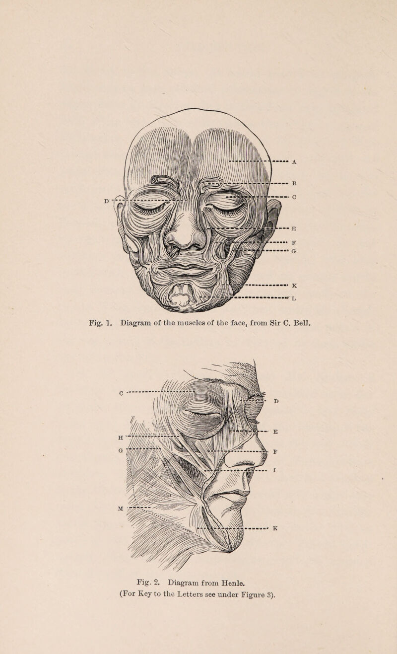 Fig. 1. Diagram of the muscles of the face, from Sir C. Bell. Fig. 2. Diagram from Henle. (For Key to the Letters see under Figure 3).