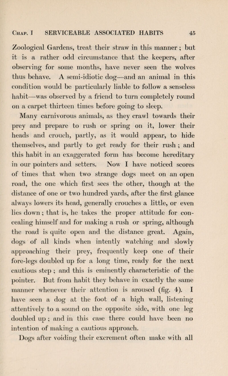 Zoological Gardens, treat their straw in this manner; but it is a rather odd circumstance that the keepers, after observing for some months, have never seen the wolves thus behave. A semi-idiotic dog—and an animal in this condition would be particularly liable to follow a senseless habit—was observed by a friend to turn completely round on a carpet thirteen times before going to sleep. Many carnivorous animals, as they crawl towards their prey and prepare to rush or spring on it, lower their heads and crouch, partly, as it would appear, to hide themselves, and partly to get ready for their rush ; and this habit in an exaggerated form has become hereditary in our pointers and setters. Now I have noticed scores of times that when two strange dogs meet on an open road, the one which first sees the other, though at the distance of one or two hundred yards, after the first glance always lowers its head, generally crouches a little, or even lies down ; that is, he takes the proper attitude for con¬ cealing himself and for making a rush or spring, although the road is quite open and the distance great. Again, dogs of all kinds when intently watching and slowly approaching their prey, frequently keep one of their fore-legs doubled up for a long time, ready for the next cautious step ; and this is eminently characteristic of the pointer. But from habit they behave in exactly the same manner whenever their attention is aroused (fig. 4). I have seen a dog at the foot of a high wall, listening attentively to a sound on the opposite side, with one leg doubled up ; and in this case there could have been no intention of making a cautious approach. Dogs after voiding their excrement often make with all