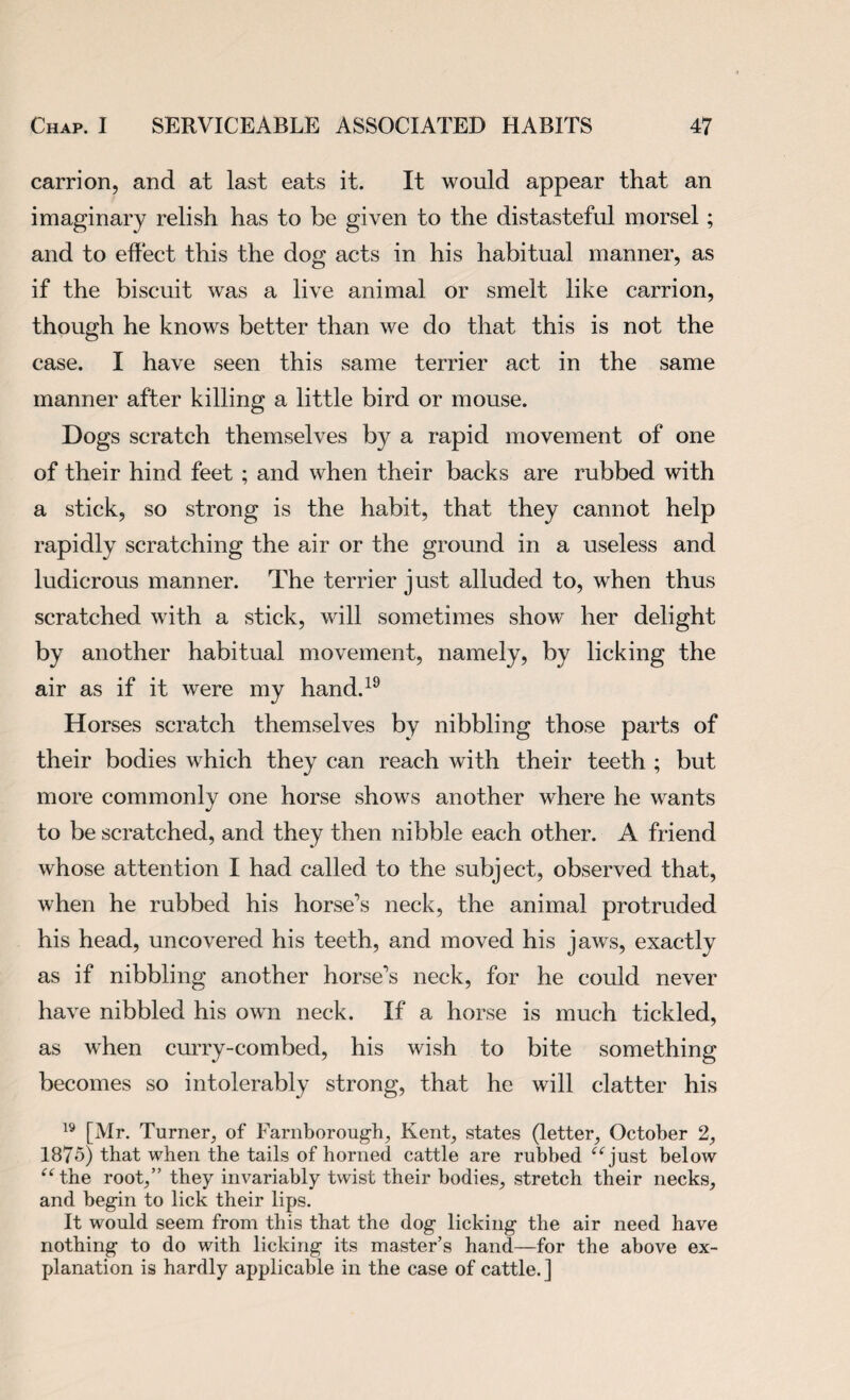 carrion, and at last eats it. It would appear that an imaginary relish has to be given to the distasteful morsel; and to effect this the dog acts in his habitual manner, as if the biscuit was a live animal or smelt like carrion, though he knows better than we do that this is not the case. I have seen this same terrier act in the same manner after killing a little bird or mouse. Dogs scratch themselves by a rapid movement of one of their hind feet ; and when their backs are rubbed with a stick, so strong is the habit, that they cannot help rapidly scratching the air or the ground in a useless and ludicrous manner. The terrier just alluded to, wrhen thus scratched with a .stick, will sometimes show her delight by another habitual movement, namely, by licking the air as if it were my hand.19 Horses scratch themselves by nibbling those parts of their bodies which they can reach with their teeth ; but more commonly one horse shows another where he wants to be scratched, and they then nibble each other. A friend whose attention I had called to the subject, observed that, when he rubbed his horse’s neck, the animal protruded his head, uncovered his teeth, and moved his jaws, exactly as if nibbling another horse’s neck, for he could never have nibbled his own neck. If a horse is much tickled, as when curry-combed, his wish to bite something becomes so intolerably strong, that he will clatter his 19 [Mr. Turner, of Farnborough, Kent, states (letter, October 2, 1875) that when the tails of horned cattle are rubbed “just below “the root,” they invariably twist their bodies, stretch their necks, and begin to lick their lips. It would seem from this that the dog licking the air need have nothing to do with licking its master’s hand—for the above ex¬ planation is hardly applicable in the case of cattle.]