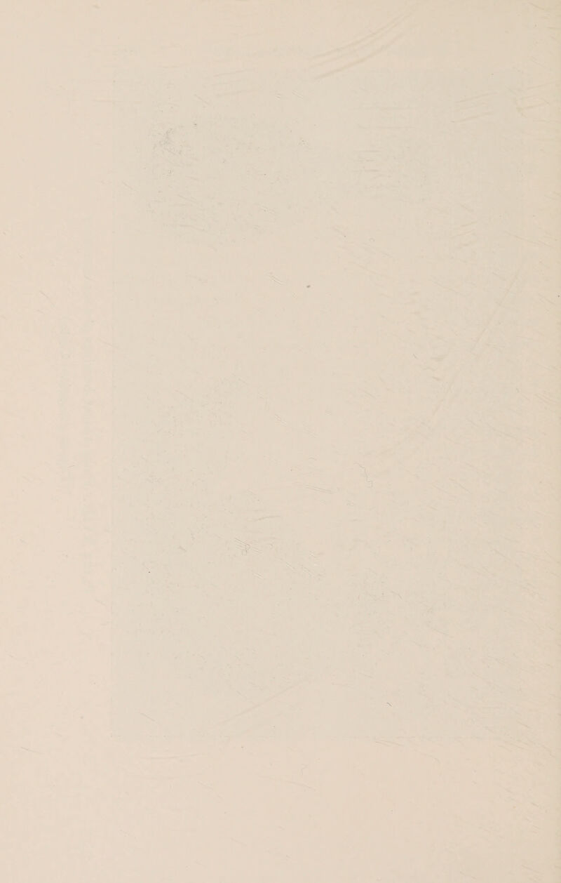 V V. I ( I V .V 1 >5 ■N A ^ V ' ■ V 'J ■ . '• î ’A -. - '- »