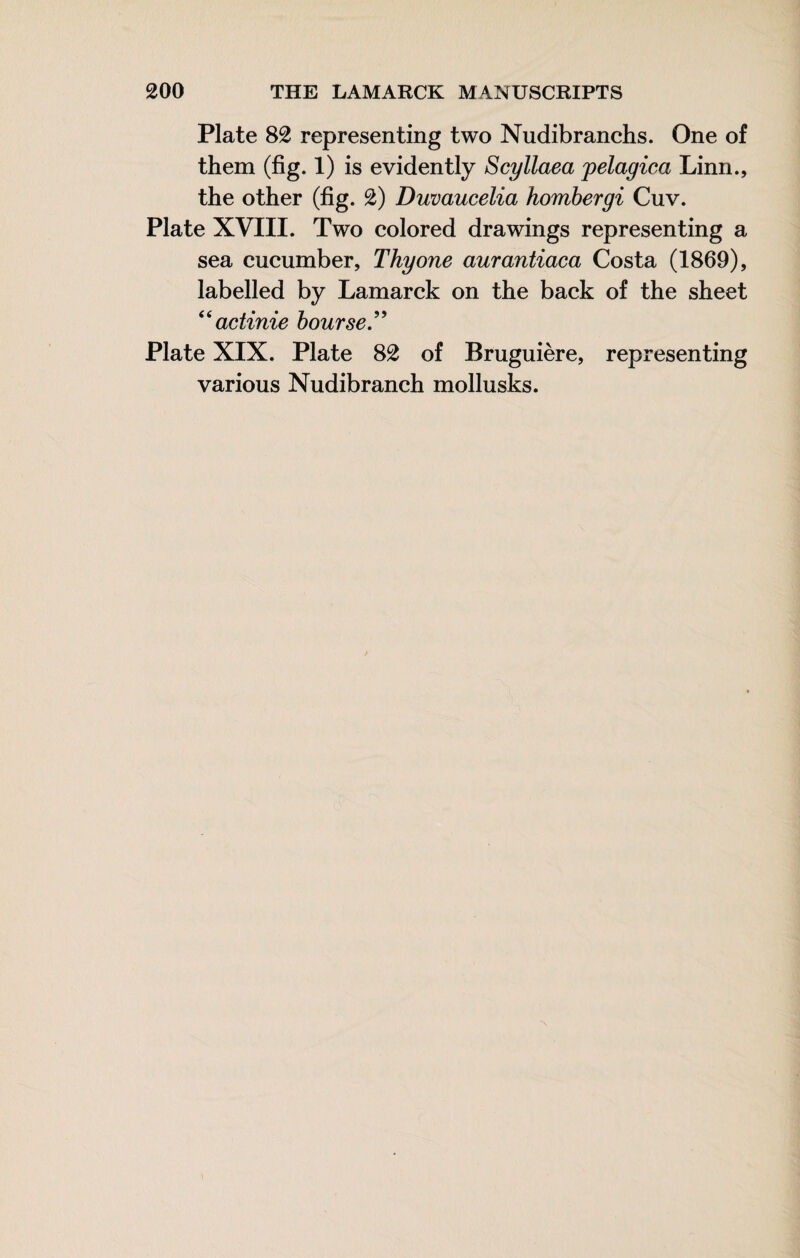 Plate 82 representing two Nudibranchs. One of them (fig. 1) is evidently Scyllaea pelagica Linn., the other (fig. 2) Duvaucelia homhergi Cuv. Plate XVIII. Two colored drawings representing a sea cucumber, Thy one aurantiaca Costa (1869), labelled by Lamarck on the back of the sheet actinie bourse.’^ Plate XIX. Plate 82 of Bruguière, representing various Nudibranch mollusks.