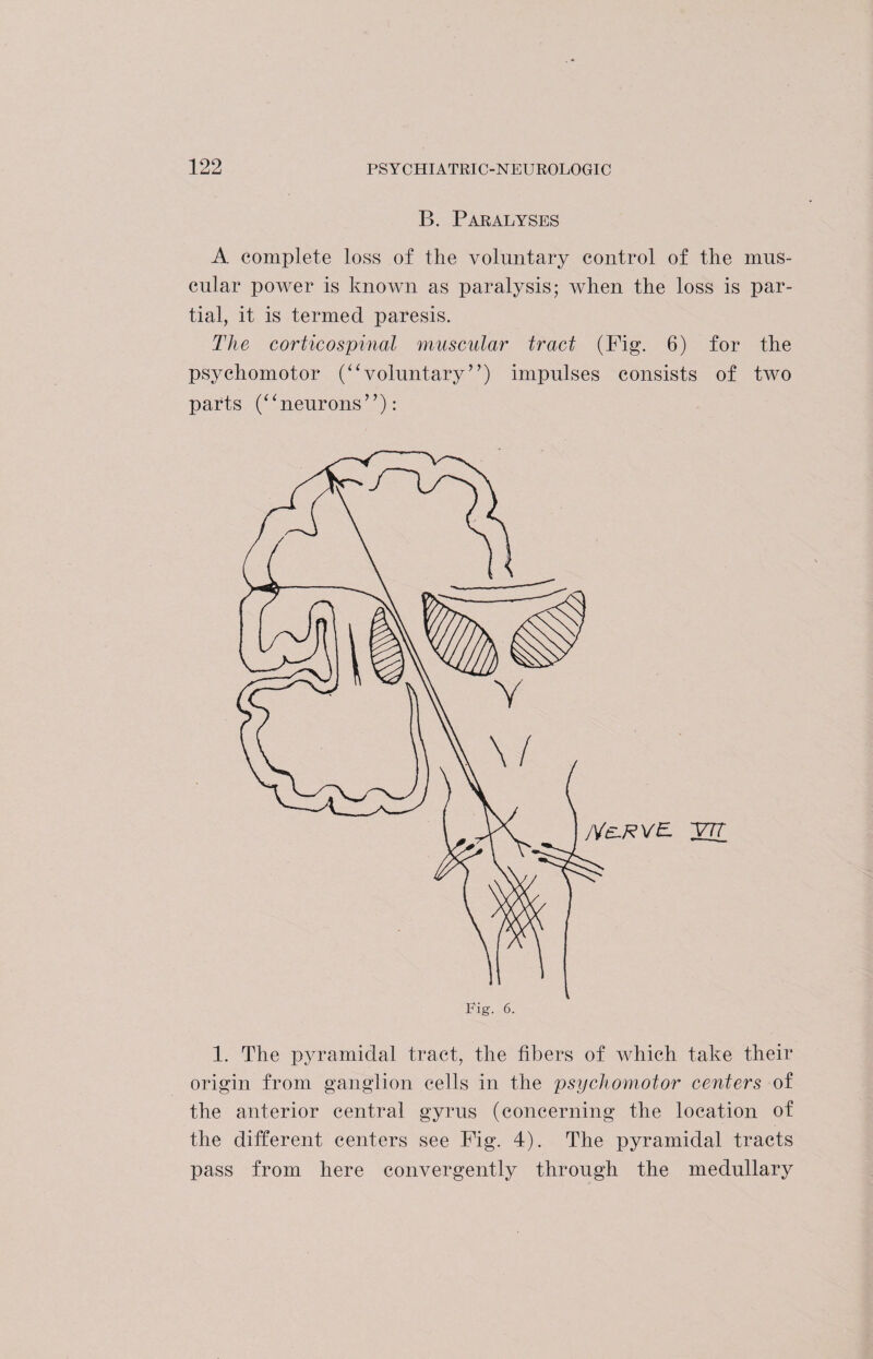 B. Paralyses A complete loss of the voluntary control of the mus¬ cular power is known as paralysis; when the loss is par¬ tial, it is termed paresis. The corticospinal muscular tract (Fig. 6) for the psychomotor (“voluntary”) impulses consists of two parts (‘ * neurons ”): 1. The pjwamidal tract, the fibers of which take their origin from ganglion cells in the psychomotor centers of the anterior central gyrus (concerning the location of the different centers see Fig. 4). The pyramidal tracts pass from here convergently through the medullary