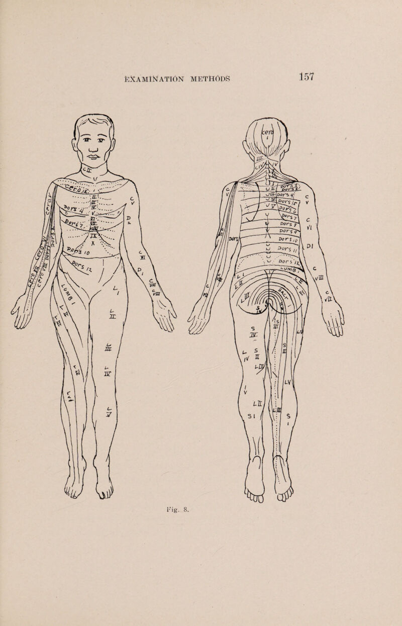 Fig. 8.
