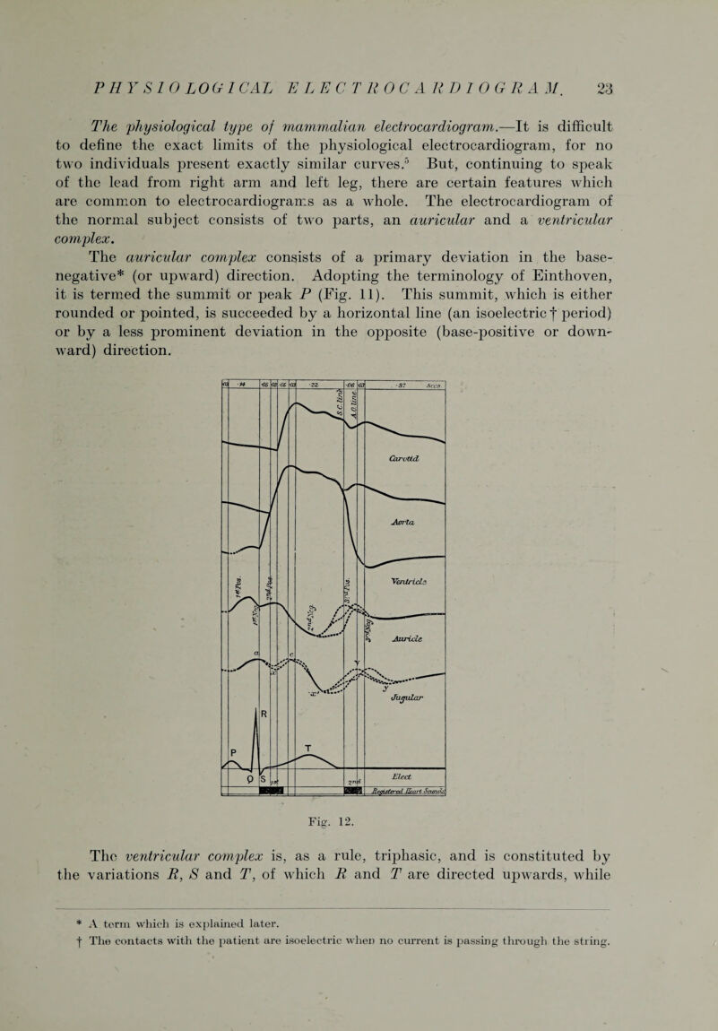 The physiological type of mammalian electrocardiogram.—It is difficult to define the exact limits of the physiological electrocardiogram, for no two individuals present exactly similar curves.5 But, continuing to speak of the lead from right arm and left leg, there are certain features which are common to electrocardiograms as a whole. The electrocardiogram of the normal subject consists of two parts, an auricular and a ventricular complex. The auricular complex consists of a primary deviation in the base¬ negative* (or upward) direction. Adopting the terminology of Einthoven, it is termed the summit or peak P (Fig. 11). This summit, which is either rounded or pointed, is succeeded by a horizontal line (an isoelectric f period) or by a less prominent deviation in the opposite (base-positive or down¬ ward) direction. Fig. 12. The ventricular complex is, as a rule, triphasic, and is constituted by the variations R, S and T, of which R and T are directed upwards, while * A term which is explained later. | The contacts with the patient are isoelectric when no current is passing through the string.