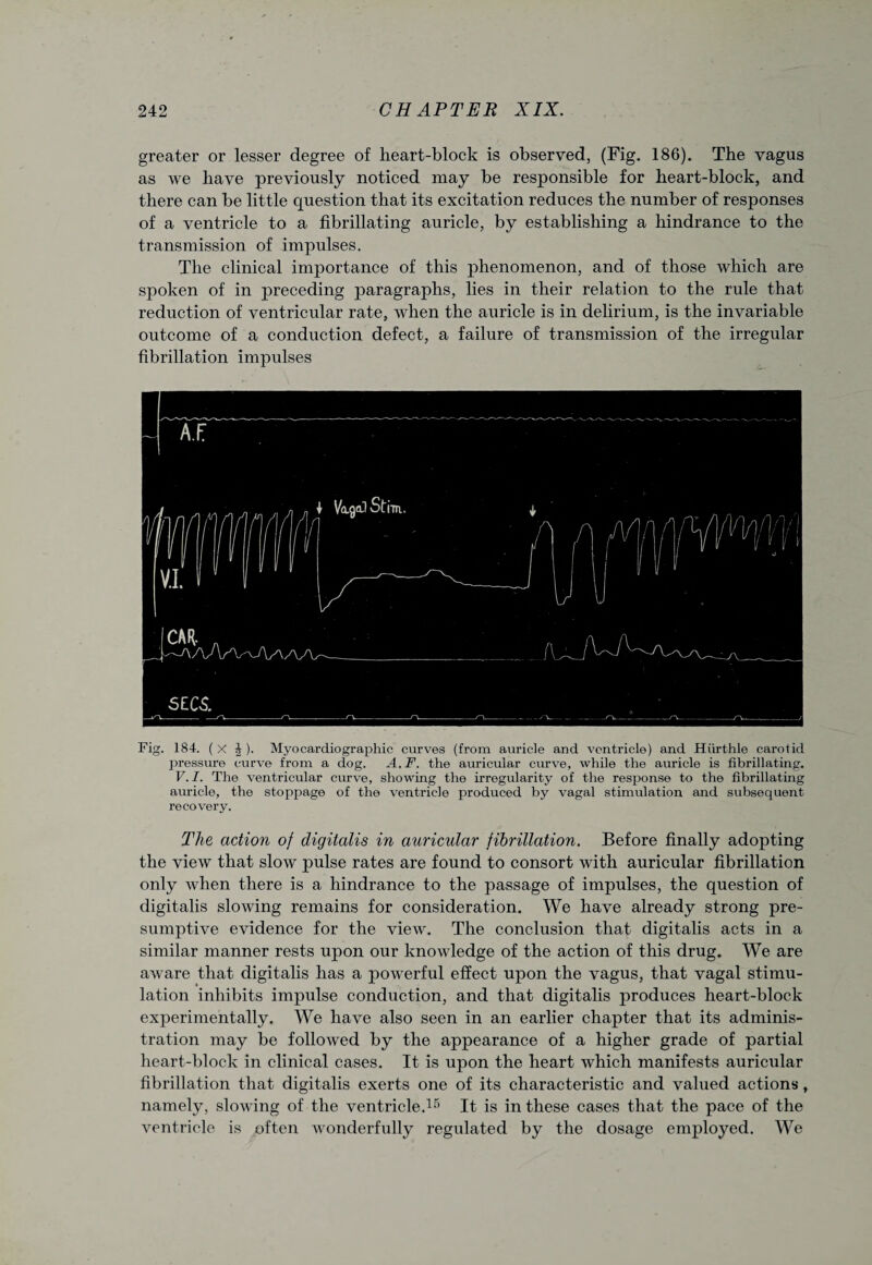 greater or lesser degree of heart-block is observed, (Fig. 186). The vagus as we have previously noticed may be responsible for heart-block, and there can be little question that its excitation reduces the number of responses of a ventricle to a fibrillating auricle, by establishing a hindrance to the transmission of impulses. The clinical importance of this phenomenon, and of those which are spoken of in preceding paragraphs, lies in their relation to the rule that reduction of ventricular rate, when the auricle is in delirium, is the invariable outcome of a conduction defect, a failure of transmission of the irregular fibrillation impulses Fig. 184. (x J). Myocardio graphic curves (from auricle and ventricle) and Hurthle carotid pressure curve from a dog. A.F. the auricular curve, while the auricle is fibrillating. V.I. The ventricular curve, showing the irregularity of the response to the fibrillating auricle, the stoppage of the ventricle produced by vagal stimulation and subsequent recovery. The action of digitalis in auricular fibrillation. Before finally adopting the view that slow pulse rates are found to consort with auricular fibrillation only when there is a hindrance to the passage of impulses, the question of digitalis slowing remains for consideration. We have already strong pre¬ sumptive evidence for the view. The conclusion that digitalis acts in a similar manner rests upon our knowledge of the action of this drug. We are aware that digitalis has a powerful effect upon the vagus, that vagal stimu¬ lation inhibits impulse conduction, and that digitalis produces heart-block experimentally. We have also seen in an earlier chapter that its adminis¬ tration may be followed by the appearance of a higher grade of partial heart-block in clinical cases. It is upon the heart which manifests auricular fibrillation that digitalis exerts one of its characteristic and valued actions, namely, slowing of the ventricle.15 It is in these cases that the pace of the ventricle is often wonderfully regulated by the dosage employed. We