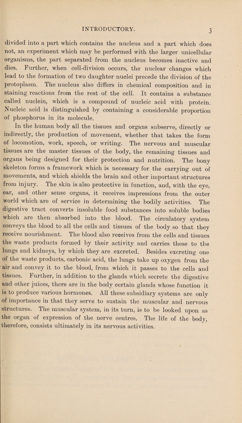INTRODUCTORY. divided into a part which contains the nucleus and a part which does not, an experiment which may be performed with the larger unicellular organisms, the part separated from the nucleus becomes inactive and dies. Further, when cell-division occurs, the nuclear changes which lead to the formation of two daughter nuclei precede the division of the protoplasm. The nucleus also differs in chemical composition and in staining reactions from the rest of the cell. It contains a substance called nuclein, which is a compound of nucleic acid with protein. Nucleic acid is distinguished by containing a considerable proportion of phosphorus in its molecule. In the human body all the tissues and organs subserve, directly or indirectly, the production of movement, whether that takes the form of locomotion, work, speech, or writing. The nervous and muscular tissues are the master tissues of the body, the remaining tissues and organs being designed for their protection and nutrition. The bony skeleton forms a framework which is necessary for the carrying out of movements, and which shields the brain and other important structures from injury. The skin is also protective in function, and, with the eye, ear, and other sense organs, it receives impressions from the outer world which are of service in determining the bodily activities. The digestive tract converts insoluble food substances into soluble bodies which are then absorbed into the blood. The circulatory system conveys the blood to all the cells and tissues of the body so that they receive nourishment. The blood also receives from the cells and tissues the waste products formed by their activity and carries these to the lungs and kidneys, by which they are excreted. Besides excreting one of the waste products, carbonic acid, the lungs take up oxygen from the air and convey it to the blood, from which it passes to the cells and tissues. Further, in addition to the glands which secrete the digestive and other juices, there are in the body certain glands whose function it is to produce various hormones. All these subsidiary systems are only of importance in that they serve to sustain the muscular and nervous structures. The muscular system, in its turn, is to be looked upon as the organ of expression of the nerve centres. The life of the body, therefore, consists ultimately in its nervous activities.