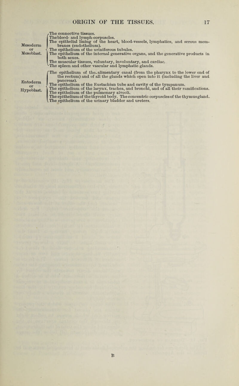 Mesoderm or Mesoblast. Entoderm or Hypoblast. ORIGIN OF THE TISSUES. 17 /the connective tissues. Theblood- and lymph-corpuscles. The epithelial lining of the heart, blood-vessels, lymphatics, and serous mem¬ branes (endothelium). < The epithelium of the uriniferous tubules. The epithelium of the internal generative organs, and the generative products in both sexes. The muscular tissues, voluntary, involuntary, and cardiac. ^The spleen and other vascular and lymphatic glands. 'The epithelium of the.alimentary canal (from the pharynx to the lower end of the rectum) and of all the glands which open into it (including the liver and pancreas). The epithelium of the Eustachian tube and cavity of the tympanum. The epithelium of the larynx, trachea, and bronchi, and of all their ramifications. The epithelium of the pulmonary alveoli. The epithelium of the thyroid body. The concentric corpuscles of the thymus gland.. . The epithelium of the urinary bladder and ureters. B