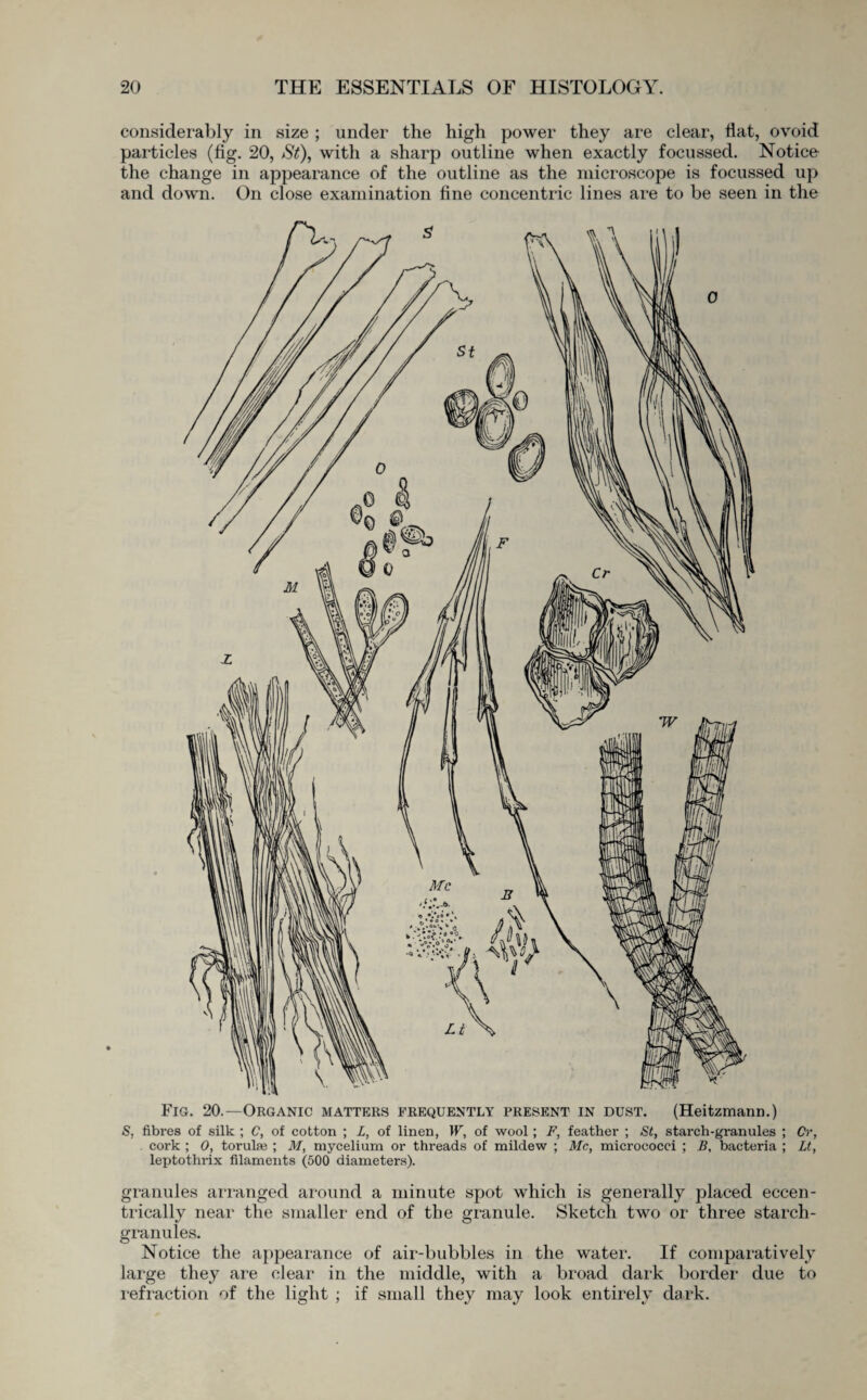 considerably in size ; under the high power they are clear, Hat, ovoid particles (fig. 20, St), with a sharp outline when exactly focussed. Notice the change in appearance of the outline as the microscope is focussed up and down. On close examination fine concentric lines are to be seen in the Fig. 20.—Organic matters frequently present in dust. (Heitzmann.) S, fibres of silk ; C, of cotton ; L, of linen, W, of wool ; F, feather ; St, starch-granules ; Cv, cork ; 0, toruke ; M, mycelium or threads of mildew ; Me, micrococci ; B. bacteria ; Lt, leptothrix filaments (500 diameters). granules arranged around a minute spot which is generally placed eccen¬ trically near the smaller end of the granule. Sketch two or three starch- granules. Notice the appearance of air-bubbles in the water. If comparatively large they are clear in the middle, with a broad dark border due to refraction of the light ; if small they may look entirely dark.