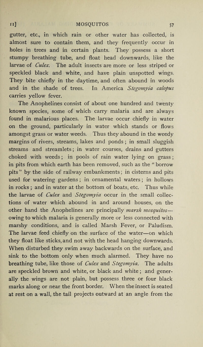 gutter, etc., in which rain or other water has collected, is almost sure to contain them, and they frequently occur in holes in trees and in certain plants. They possess a short stumpy breathing tube, and float head downwards, like the larvae of Culex. The adult insects are more or less striped or speckled black and white, and have plain unspotted wings. They bite chiefly in the daytime, and often abound in woods and in the shade of trees. In America Stegomyia calopus carries yellow fever. The Anophelines consist of about one hundred and twenty known species, some of which carry malaria and are always found in malarious places. The larvae occur chiefly in water on the ground, particularly in water which stands or flows amongst grass or water weeds. Thus they abound in the weedy margins of rivers, streams, lakes and ponds ; in small sluggish streams and streamlets; in water courses, drains and gutters choked with weeds; in pools of rain water lying on grass ; in pits from which earth has been removed, such as the “ borrow pits” by the side of railway embankments; in cisterns and pits used for watering gardens ; in ornamental waters; in hollows in rocks ; and in water at the bottom of boats, etc. Thus while the larvae of Culex and Stegomyia occur in the small collec¬ tions of water which abound in and around houses, on the other hand the Anophelines are principally marsh mosquitos— owing to which malaria is generally more or less connected with marshy conditions, and is called Marsh Fever, or Paludism. The larvae feed chiefly on the surface of the water—on which they float like sticks, and not with the head hanging downwards. When disturbed they swim away backwards on the surface, and sink to the bottom only when much alarmed. They have no breathing tube, like those of Culex and Stegomyia. The adults are speckled brown and white, or black and white; and gener¬ ally the wings are not plain, but possess three or four black marks along or near the front border. When the insect is seated at rest on a wall, the tail projects outward at an angle from the