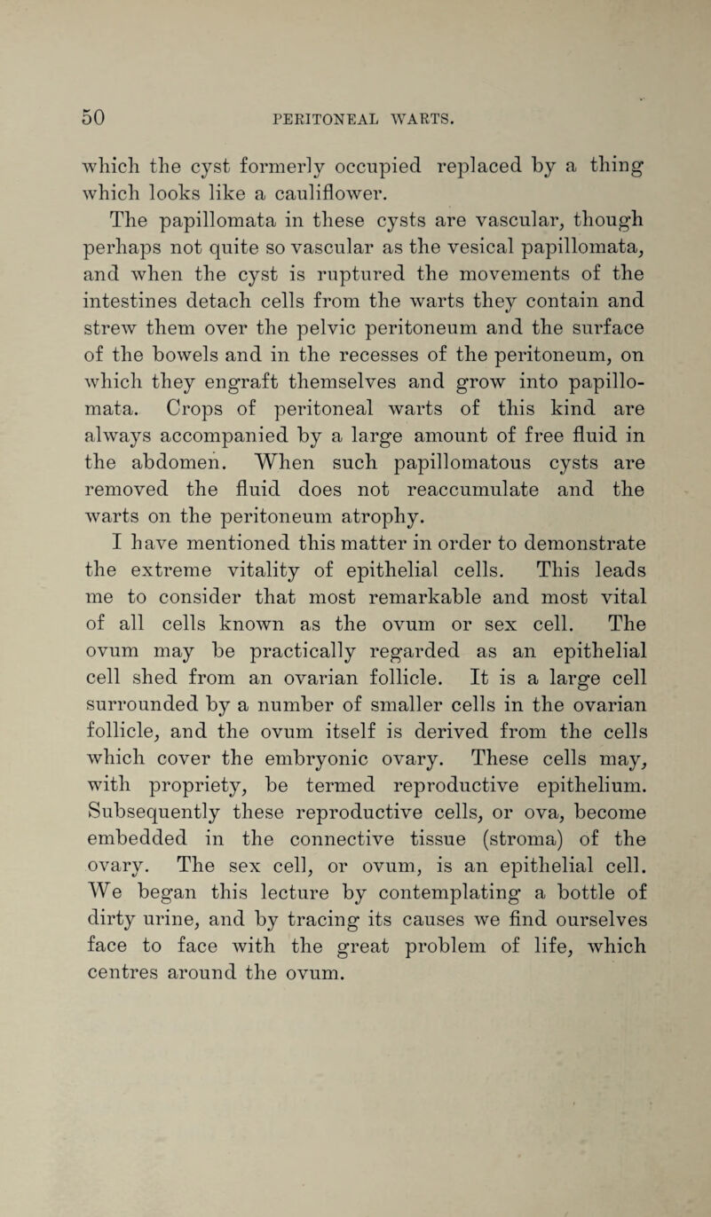 which the cyst formerly occupied replaced by a thing which looks like a cauliflower. The papillomata in these cysts are vascular, though perhaps not quite so vascular as the vesical papillomata, and when the cyst is ruptured the movements of the intestines detach cells from the warts they contain and strew them over the pelvic peritoneum and the surface of the bowels and in the recesses of the peritoneum, on which they engraft themselves and grow into papillo¬ mata. Crops of peritoneal warts of this kind are always accompanied by a large amount of free fluid in the abdomen. When such papillomatous cysts are removed the fluid does not reaccumulate and the warts on the peritoneum atrophy. I have mentioned this matter in order to demonstrate the extreme vitality of epithelial cells. This leads me to consider that most remarkable and most vital of all cells known as the ovum or sex cell. The ovum may be practically regarded as an epithelial cell shed from an ovarian follicle. It is a large cell surrounded by a number of smaller cells in the ovarian follicle, and the ovum itself is derived from the cells which cover the embryonic ovary. These cells may, with propriety, be termed reproductive epithelium. Subsequently these reproductive cells, or ova, become embedded in the connective tissue (stroma) of the ovary. The sex cell, or ovum, is an epithelial cell. We began this lecture by contemplating a bottle of dirty urine, and by tracing its causes we find ourselves face to face with the great problem of life, which centres around the ovum.