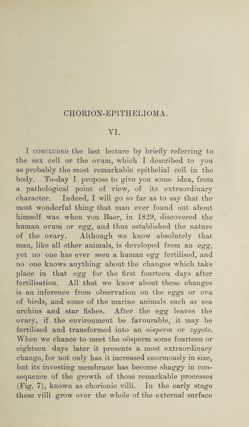 CHORION-EPITHELIOMA. VI. I concluded tlie last lecture by briefly referring to the sex cell or the ovum, which I described to you as probably the most remarkable epithelial cell in the body. To-day I propose to give you some idea, from a pathological point of view, of its extraordinary character. Indeed, I will go so far as to say that the most wonderful thins; that man ever found out about himself was when von Baer, in 1829, discovered the human ovum or egg, and thus established the nature of the ovary. Although we know absolutely that man, like all other animals, is developed from an egg, yet no one has ever seen a human egg fertilised, and no one knows anything about the changes which take place in that egg for the first fourteen days after fertilisation. All that we know about these changes is an inference from observation on the eggs or ova of birds, and some of the marine animals such as sea urchins and star fishes. After the egg leaves the ovary, if the environment be favourable, it may be fertilised and transformed into an oosperm or zygote. When we chance to meet the oosperm some fourteen or eighteen days later it presents a most extraordinary change, for not only has it increased enormously in size, but its investing membrane has become shaggy in con¬ sequence of the growth of those remarkable processes (Fig. 7), known as chorionic villi. In the early stage these villi grow over the whole of the external surface