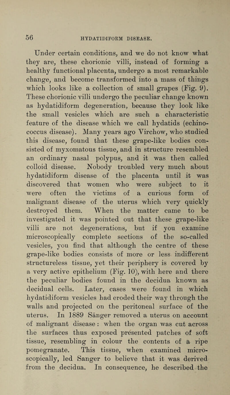 Under certain conditions, and we do not know what they are, these chorionic villi, instead of forming a healthy functional placenta, undergo a most remarkable change, and become transformed into a mass of things which looks like a collection of small grapes (Fig. 9). These chorionic villi undergo the peculiar change known as hydatidiform degeneration, because they look like the small vesicles which are such a characteristic feature of the disease which we call hydatids (echino¬ coccus disease). Many years ago Virchow, who studied this disease, found that these grape-like bodies con¬ sisted of myxomatous tissue, and in structure resembled an ordinary nasal polypus, and it was then called colloid disease. Nobody troubled very much about hydatidiform disease of the placenta until it was discovered that women who were subject to it were often the victims of a curious form of malignant disease of the uterus which very quickly destroyed them. When the matter came to be investigated it was pointed out that these grape-like villi are not degenerations, but if you examine microscopically complete sections of the so-called vesicles, you find that although the centre of these grape-like bodies consists of more or less indifferent structureless tissue, yet their periphery is covered by a very active epithelium (Fig. 10), with here and there the peculiar bodies found in the decidua known as decidual cells. Later, cases were found in which hydatidiform vesicles had eroded their way through the walls and projected on the peritoneal surface of the uterus. In 1889 Sanger removed a uterus on account of malignant disease : when the organ was cut across the surfaces thus exposed presented patches of soft tissue, resembling in colour the contents of a ripe pomegranate. This tissue, when examined micro¬ scopically, led Sanger to believe that it was derived from the decidua. In consequence, he described the