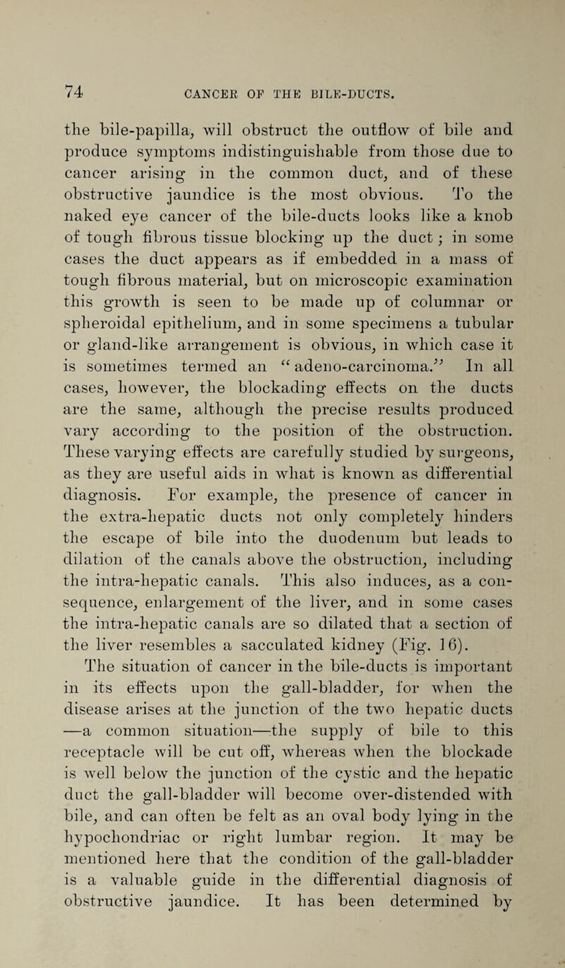 tlie bile-papilla, will obstruct the outflow of bile and produce symptoms indistinguishable from those due to cancer arising in the common duct, and of these obstructive jaundice is the most obvious. To the naked eye cancer of the bile-ducts looks like a knob of tough fibrous tissue blocking up the duct; in some cases the duct appears as if embedded in a mass of tough fibrous material, but on microscopic examination this growth is seen to be made up of columnar or spheroidal epithelium, and in some specimens a tubular or gland-like arrangement is obvious, in which case it is sometimes termed an “ adeno-carcinoma.^ In all cases, however, the blockading effects on the ducts are the same, although the precise results produced vary according to the position of the obstruction. These varying effects are carefully studied by surgeons, as they are useful aids in what is known as differential diagnosis. For example, the presence of cancer in the extra-liepatic ducts not only completely hinders the escape of bile into the duodenum but leads to dilation of the canals above the obstruction, including the intra-hepatic canals. This also induces, as a con¬ sequence, enlargement of the liver, and in some cases the intra-hepatic canals are so dilated that a section of the liver resembles a sacculated kidney (Fig. 16). The situation of cancer in the bile-ducts is important in its effects upon the gall-bladder, for when the disease arises at the junction of the two hepatic ducts —a common situation—:the supply of bile to this receptacle will be cut off, whereas when the blockade is well below the junction of the cystic and the hepatic duct the gall-bladder will become over-distended with bile, and can often be felt as an oval body lying in the hypochondriac or right lumbar region. It may be mentioned here that the condition of the gall-bladder is a valuable guide in the differential diagnosis of obstructive jaundice. It has been determined by