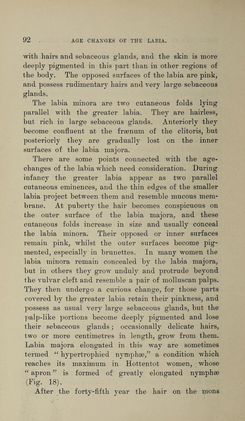 with hairs and sebaceous edands, and the skin is more deeply pigmented in this part than in other regions of the body. The opposed surfaces of the labia are pink, and possess rudimentary hairs and very large sebaceous glands. The labia minora are two cutaneous folds lying parallel with the greater labia. They are hairless, but rich in large sebaceous glands. Anteriorly they become confluent at the fraenum of the clitoris, but posteriorly they are gradually lost on the inner surfaces of the labia majora. There are some points connected with the age- changes of the labia which need consideration. During infancy the greater labia appear as two parallel cutaneous eminences, and the thin edges of the smaller labia project between them and resemble mucous mem¬ brane. At puberty the hair becomes conspicuous on the outer surface of the labia majora, and these cutaneous folds increase in size and usually conceal the labia minora. Their opposed or inner surfaces remain pink, whilst the outer surfaces become pig¬ mented, especially in brunettes. In many women the labia minora remain concealed by the labia majora, but in others they grow unduly and protrude beyond the vulvar cleft and resemble a pair of molluscan palps. They then undergo a curious change, for those parts covered by the greater labia retain their pinkness, and possess as usual very large sebaceous glands, but the palp-like portions become deeply pigmented and lose their sebaceous glands; occasionally delicate hairs, two or more centimetres in length, grow from them. Labia majora elongated in this way are sometimes termed “ hypertrophied nymplise/’ a condition which reaches its maximum in Hottentot women, whose “ apron ” is formed of greatly elongated nymphas (Fig. 18). After the forty-fifth year the hair on the mons