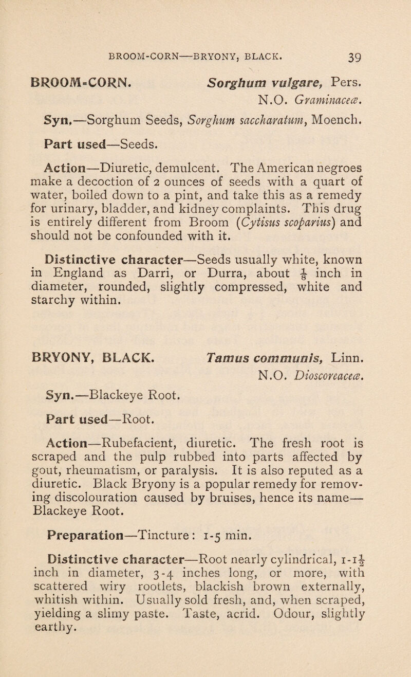 BROOM-CORN. Sorghum vulgare, Pers. N.O. Gvaminacece. Syn,—Sorghum Seeds, Sorghum saccharatum, Moench. Part used—Seeds. Action—Diuretic, demulcent. The American negroes make a decoction of 2 ounces of seeds with a quart of water, boiled down to a pint, and take this as a remedy for urinary, bladder, and kidney complaints. This drug is entirely different from Broom (Cytisus scoparius) and should not be confounded with it. Distinctive character—Seeds usually white, known in England as Darri, or Durra, about inch in diameter, rounded, slightly compressed, white and starchy within. BRYONY, BLACK. Tamus communis, Linn. N.O. Dioscoreacecd. Syn.—Blackeye Root. Part used—Root. -Action—Rubefacient, diuretic. The fresh root is scraped and the pulp rubbed into parts affected by gout, rheumatism, or paralysis. It is also reputed as a diuretic. Black Bryony is a popular remedy for remov¬ ing discolouration caused by bruises, hence its name— Blackeye Root. Preparation—Tincture: 1-5 min. Distinctive character—Root nearly cylindrical, i-i-| inch in diameter, 3-4 inches long, or more, with scattered wiry rootlets, blackish brown externally, whitish within. Usually sold fresh, and, when scraped, yielding a slimy paste. Taste, acrid. Odour, slightly earthy.
