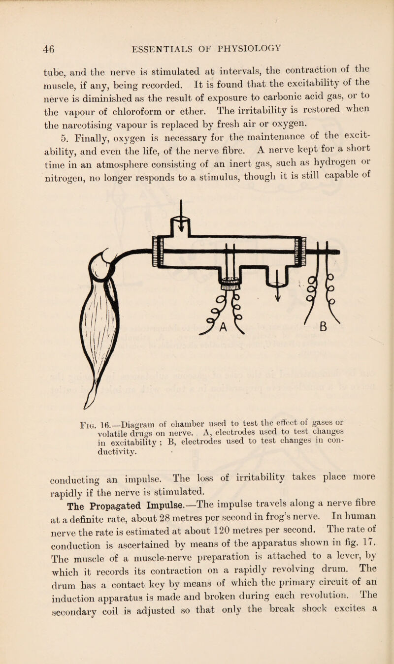 tube, and the nerve is stimulated at intervals, the contraction of the muscle, if any, being recorded. It is found that the excitability of the nerve is diminished as the result of exposure to carbonic acid gas, or to the vapour of chloroform or ether. The irritability is restored when the narcotising vapour is replaced by fresh air or oxygen. 5. Finally, oxygen is necessary for the maintenance of the excit¬ ability, and even the life, of the nerve fibre. A nerve kept for a short time in an atmosphere consisting of an inert gas, such as hydrogen or nitrogen, no longer responds to a stimulus, though it is still capable of Fxg. 16._Diagram of chamber used to test the effect of gases or volatile drugs on nerve. A, electrodes used to test changes in excitability ; B, electrodes used to test changes in con¬ ductivity. conducting an impulse. The loss of irritability takes place more rapidly if the nerve is stimulated. The Propagated Impulse.—The impulse travels along a nerve fibre at a definite rate, about 28 metres per second in frog s nerve. In human nerve the rate is estimated at about 120 metres pei second. The late of conduction is ascertained by means of the apparatus shown in fig. 17. The muscle of a muscle-nerve preparation is attached to a lever, by which it records its contraction on a rapidly revolving dium. The drum has a contact key by means of which the primary circuit of an induction apparatus is made and broken duiing eacli i evolution. I he secondary coil is adjusted so that only the break shock excites a