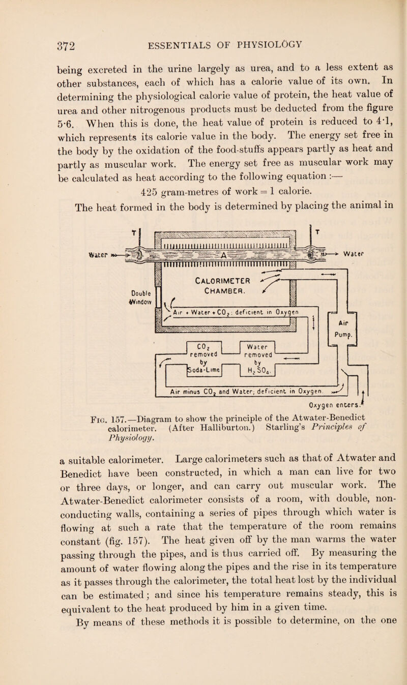 being excreted in the urine largely as urea, and to a less extent as other substances, each of which has a calorie value of its own. In determining the physiological calorie value of protein, the heat value of urea and other nitrogenous products must be deducted from the figure 5-6. When this is done, the heat value of protein is reduced to 4d, which represents its calorie value in the body. The energy set free in the body by the oxidation of the food-stuffs appears partly as heat and partly as muscular work. The energy set free as muscular work may be calculated as heat according to the following equation :— 425 gram-metres of work = 1 calorie. o The heat formed in the body is determined by placing the animal in Fig. 157.—Diagram to show the principle of the Atwater-Benedict calorimeter. (After Halliburton.) Starling’s Principles of Physiology. a suitable calorimeter. Large calorimeters such as that of Atwater and Benedict have been constructed, in which a man can live for two or three days, or longer, and can carry out muscular work. The Atwater-Benedict calorimeter consists of a room, with double, non¬ conducting walls, containing a series of pipes through which water is flowing at such a rate that the temperature of the room remains constant (fig. 157). The heat given off by the man warms the water passing through the pipes, and is thus carried off. By measuring the amount of water flowing along the pipes and the rise in its temperature as it passes through the calorimeter, the total heat lost by the individual can be estimated; and since his temperature remains steady, this is equivalent to the heat produced by him in a given time. By means of these methods it is possible to determine, on the one