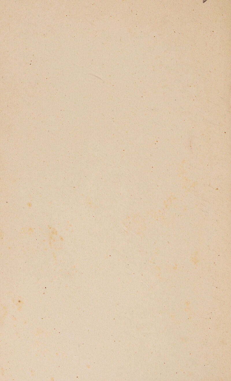 / I I I w I t A i \ l