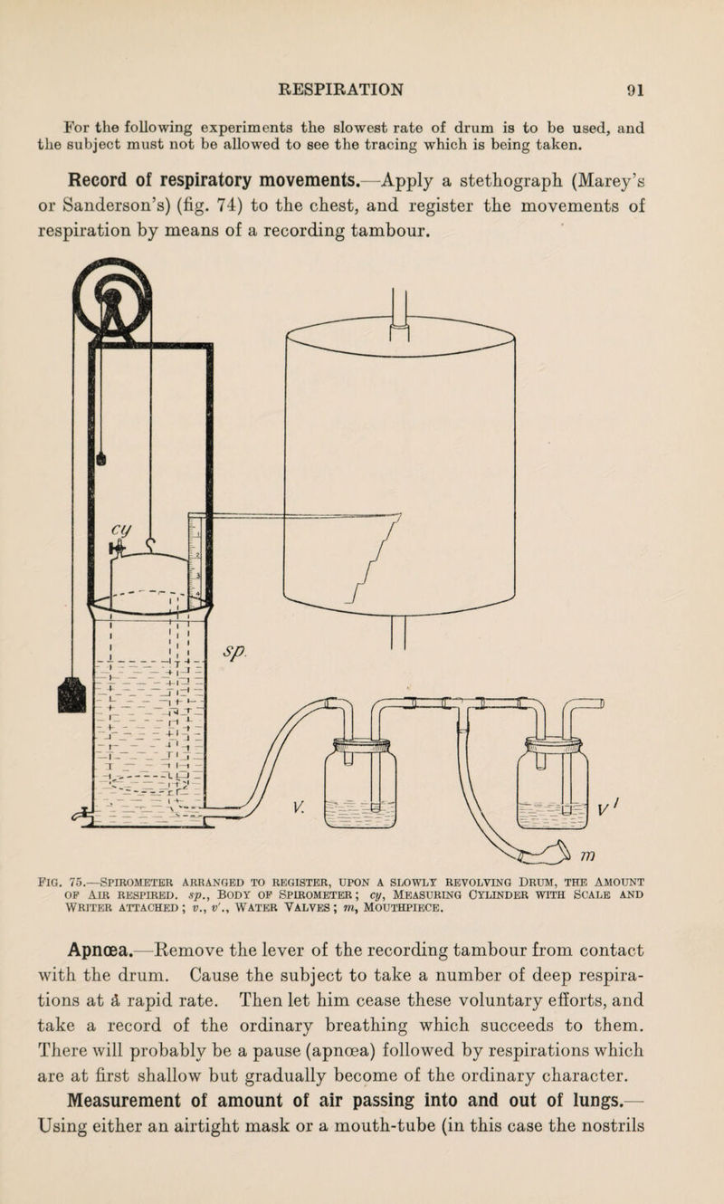 For the following experiments the slowest rate of drum is to be used, and the subject must not be allowed to see the tracing which is being taken. Record of respiratory movements.—Apply a stethograph (Marey’s or Sanderson’s) (tig. 74) to the chest, and register the movements of respiration by means of a recording tambour. Fig. 75.—Spirometer arranged to register, upon a slowly revolving Drum, the amount op Air respired, sp., Body op Spirometer; cy, Measuring Cylinder with Scale and WRITER ATTACHED ; V., v'., WATER VALVES ; m, MOUTHPIECE. Apnoea.—Remove the lever of the recording tambour from contact with the drum. Cause the subject to take a number of deep respira¬ tions at £ rapid rate. Then let him cease these voluntary efforts, and take a record of the ordinary breathing which succeeds to them. There will probably be a pause (apnoea) followed by respirations which are at first shallow but gradually become of the ordinary character. Measurement of amount of air passing into and out of lungs. Using either an airtight mask or a mouth-tube (in this case the nostrils