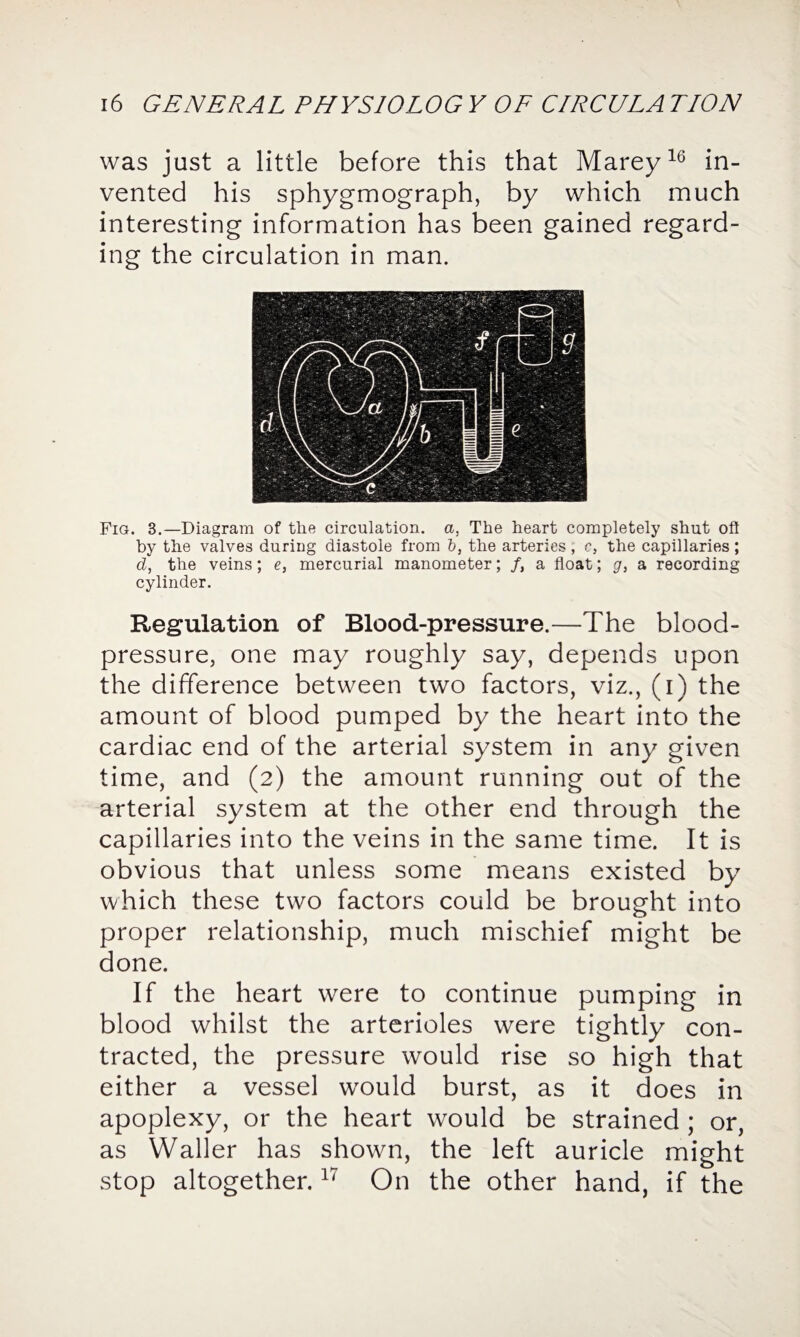was just a little before this that Marey16 in¬ vented his sphygmograph, by which much interesting information has been gained regard¬ ing the circulation in man. Fig. B.—Diagram of the circulation, a, The heart completely shut oft by the valves during diastole from b, the arteries, c, the capillaries ; d, the veins; e, mercurial manometer; /, a float; g, a recording cylinder. Regulation of Blood-pressure.—The blood- pressure, one may roughly say, depends upon the difference between two factors, viz., (i) the amount of blood pumped by the heart into the cardiac end of the arterial system in any given time, and (2) the amount running out of the arterial system at the other end through the capillaries into the veins in the same time. It is obvious that unless some means existed by which these two factors could be brought into proper relationship, much mischief might be done. If the heart were to continue pumping in blood whilst the arterioles were tightly con¬ tracted, the pressure would rise so high that either a vessel would burst, as it does in apoplexy, or the heart would be strained ; or, as Waller has shown, the left auricle might stop altogether.17 On the other hand, if the