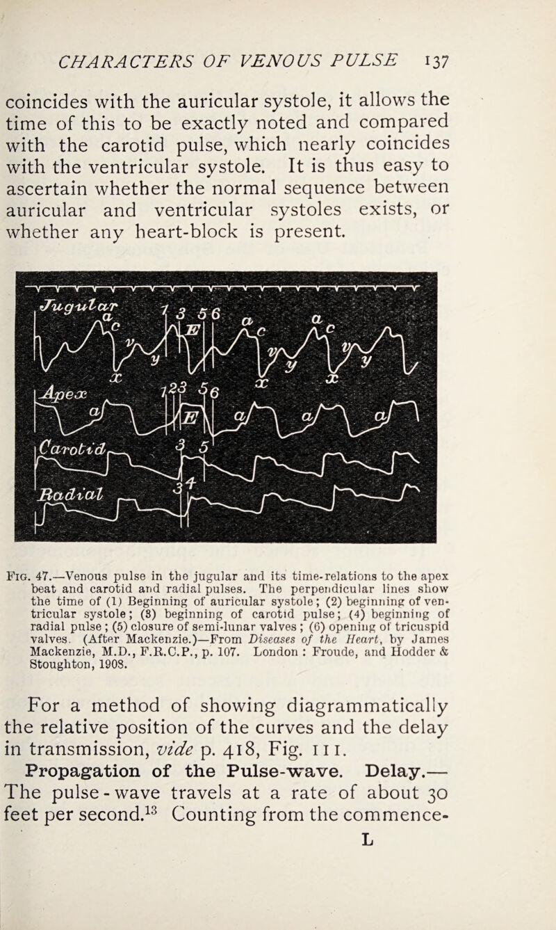 coincides with the auricular systole, it allows the time of this to be exactly noted and compared with the carotid pulse, which nearly coincides with the ventricular systole. It is thus easy to ascertain whether the normal sequence between auricular and ventricular systoles exists, or whether any heart-block is present. Fig. 47.—Venous pulse in the jugular and its time-relations to the apex beat and carotid and radial pulses. The perpendicular lines show the time of (1) Beginning of auricular systole; (2) beginning of ven¬ tricular systole; (3) beginning of carotid pulse; (4) beginning of radial pulse ; (5) closure of semi-lunar valves ; (6) opening of tricuspid valves. (After Mackenzie.)—From Diseases of the Heart, by James Mackenzie, M.D., F.R.C.P., p. 107. London : Froude, and Hodder & Stoughton, 1903. For a method of showing diagrammatically the relative position of the curves and the delay in transmission, vide p. 418, Fig. 111. Propagation of the Pulse-wave. Delay.— The pulse-wave travels at a rate of about 30 feet per second.13 Counting from the commence- L