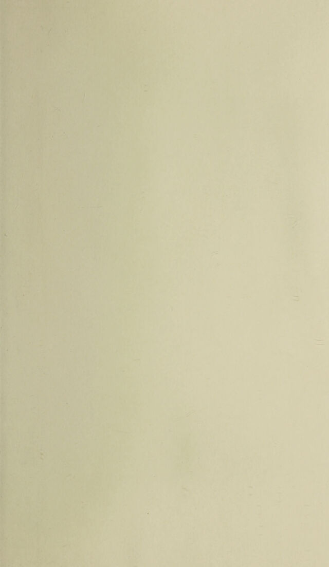 digitised image 3