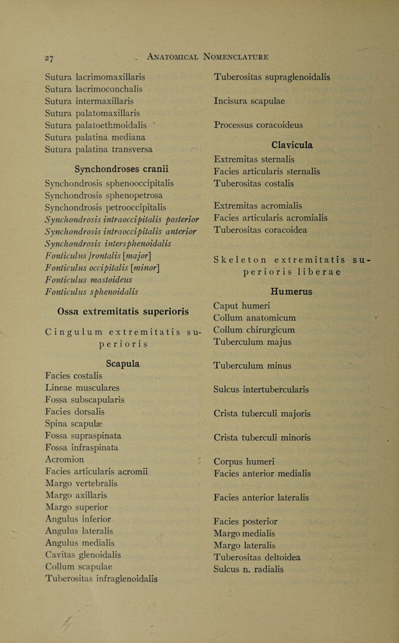 Sutura lacrimomaxillaris Sutura lacrimoconchalis Sutura intermaxillaris Sutura palatomaxillaris Sutura palatoethmoidalis Sutura palatina mediana Sutura palatina transversa Synchondroses cranii Synchondrosis sphenooccipitalis Synchondrosis sphenopetrosa Synchondrosis petrooccipitalis Synchondrosis intraoccipitalis posterior Synchondrosis intraoccipitalis anterior Synchondrosis intersphenoidalis Fonticulus frontalis [major] Fonticulus occipitalis [minor] Fonticulus mastoideus Fonticulus sphenoidalis Ossa extremitatis superioris Cingulum extremitatis su¬ perioris Scapula Facies costalis Lineae musculares Fossa subscapularis Facies dorsalis Spina scapulae Fossa supraspinata Fossa infraspinata Acromion Facies articularis acromii Margo vertebralis Margo axillaris Margo superior Angulus inferior Angulus lateralis Angulus medialis Cavitas glenoidalis Collum scapulae Tuberositas infraglenoidaiis Tuberositas supraglenoidalis Incisura scapulae Processus coracoideus Clavicula Extremitas sternalis Facies articularis sternalis Tuberositas costalis Extremitas acromialis Facies articularis acromialis Tuberositas coracoidea Skeleton extremitatis su perioris liberae Humerus Caput humeri Collum anatomicum Collum chirurgicum Tuberculum majus Tuberculum minus Sulcus intertubercularis Crista tuberculi majoris Crista tuberculi minoris Corpus humeri Facies anterior medialis Facies anterior lateralis Facies posterior Margo medialis Margo lateralis Tuberositas deltoidea Sulcus n. radialis