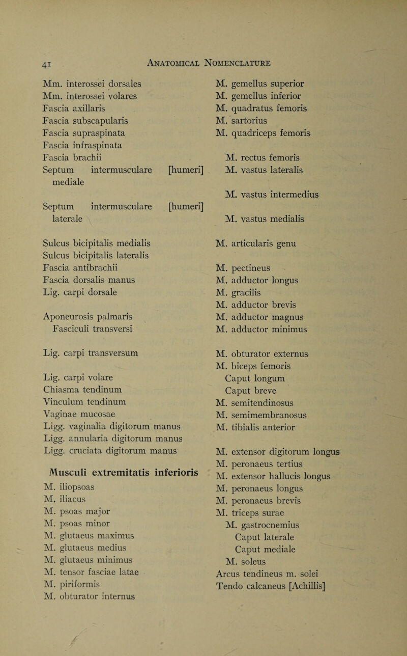 Mm. interossei dorsales r Mm. interossei volares Fascia axillaris Fascia subscapularis Fascia supraspinata Fascia infraspinata Fascia brachii Septum intermusculare [humeri] mediale Septum intermusculare [humeri] laterale M. gemellus superior M. gemellus inferior M. quadratus femoris M. sartorius M. quadriceps femoris M. rectus femoris M. vastus lateralis M. vastus intermedius M. vastus medialis Sulcus bicipitalis medialis Sulcus bicipitalis lateralis Fascia antibrachii Fascia dorsalis manus Lig. carpi dorsale Aponeurosis palmaris Fasciculi transversi M. articularis genu M. pectineus M. adductor longus M. gracilis M. adductor brevis M. adductor magnus M. adductor minimus Lig. carpi transversum Lig. carpi volare Chiasma tendinum Vinculum tendinum Vaginae mucosae Ligg. vaginalia digitorum manus Ligg. annularia digitorum manus Ligg. cruciata digitorum manus Musculi extremitatis inferioris M. iliopsoas M. iliacus M. psoas major M. psoas minor M. glutaeus maximus M. glutaeus medius M. glutaeus minimus M. tensor fasciae latae M. piriformis M. obturator internus M. obturator externus M. biceps femoris Caput longum Caput breve M. semitendinosus M. semimembranosus M. tibialis anterior M. extensor digitorum longus M. peronaeus tertius M. extensor hallucis longus M. peronaeus longus M. peronaeus brevis M. triceps surae M. gastrocnemius Caput laterale Caput mediale M. soleus Arcus tendineus m. solei Tendo calcaneus [Achillis]